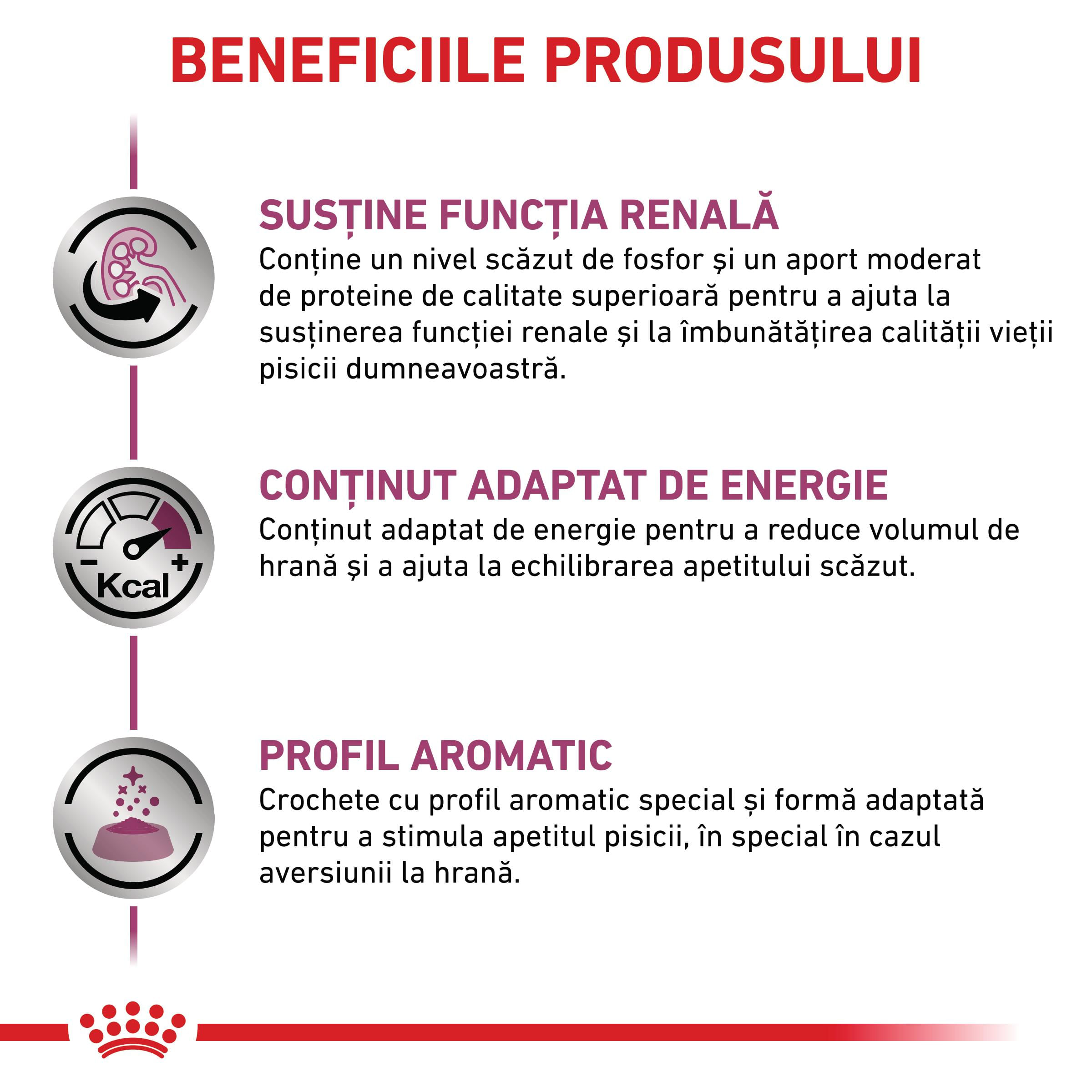 ROYAL CANIN VD Renal, dietă veterinară, hrană uscată pisici, sistem renal, 4kg