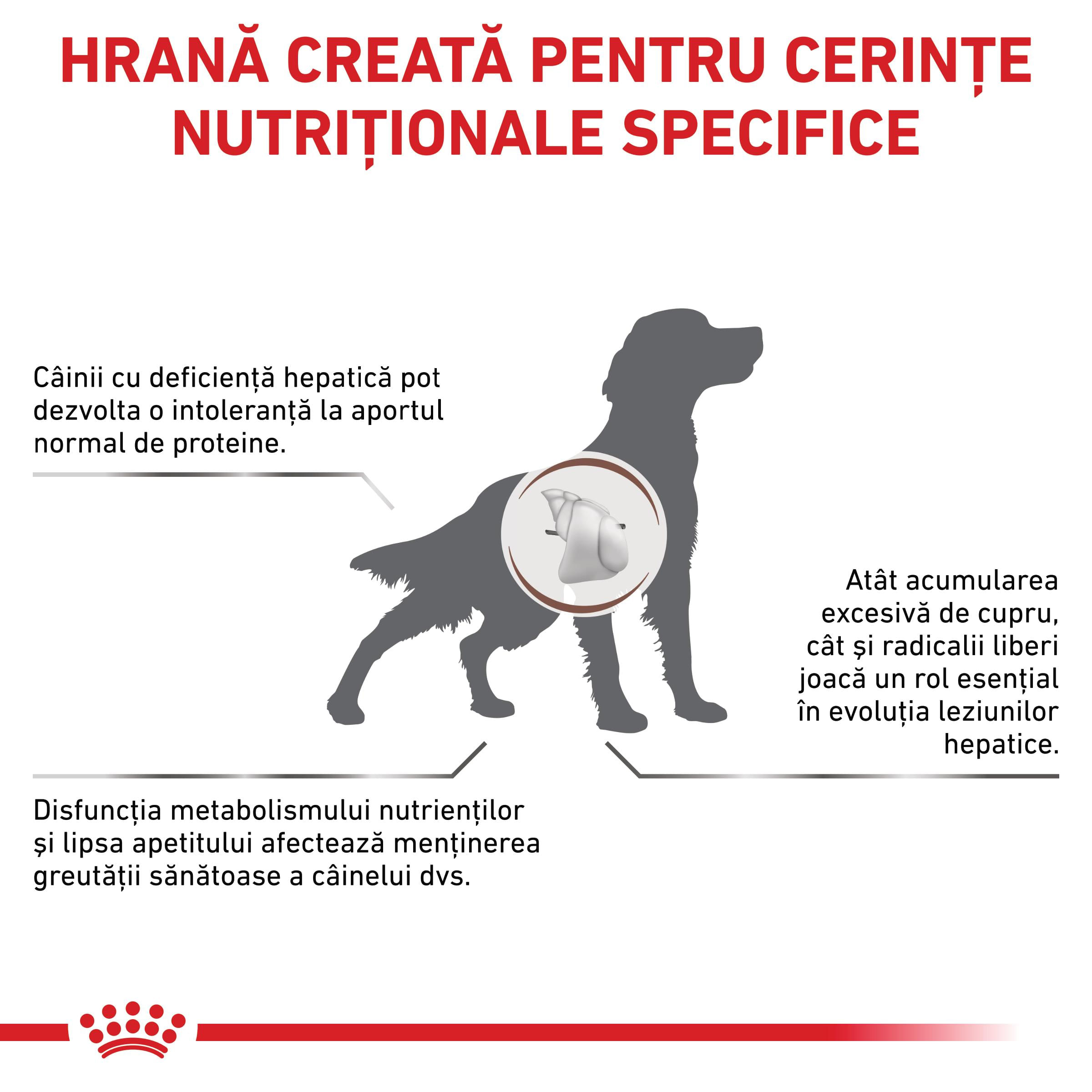 ROYAL CANIN VD Hepatic, XS-XL, dietă veterinară, hrană uscată câini, suport hepatic, 7kg