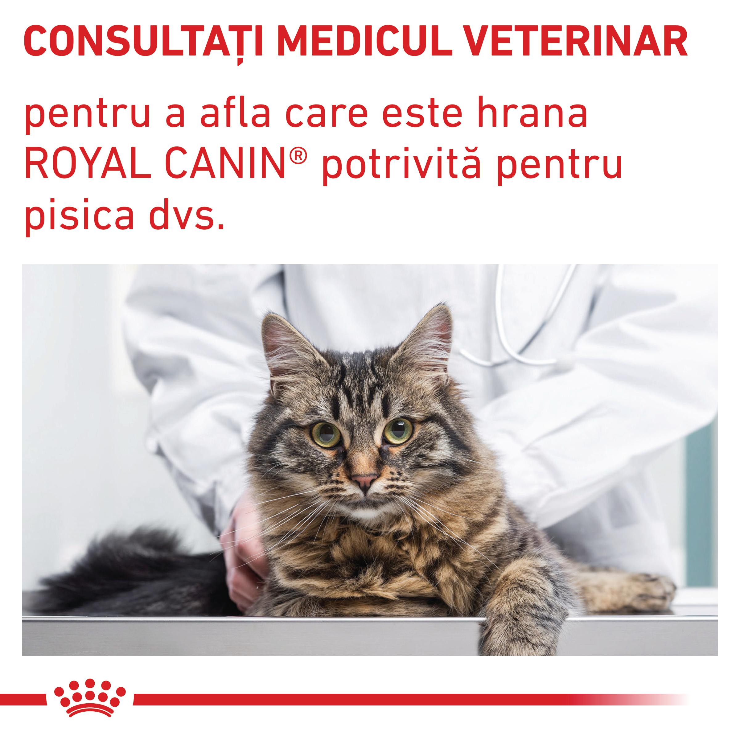 ROYAL CANIN VD Calm, dietă veterinară, hrană uscată pisici, sistem nervos & calmante, 2kg