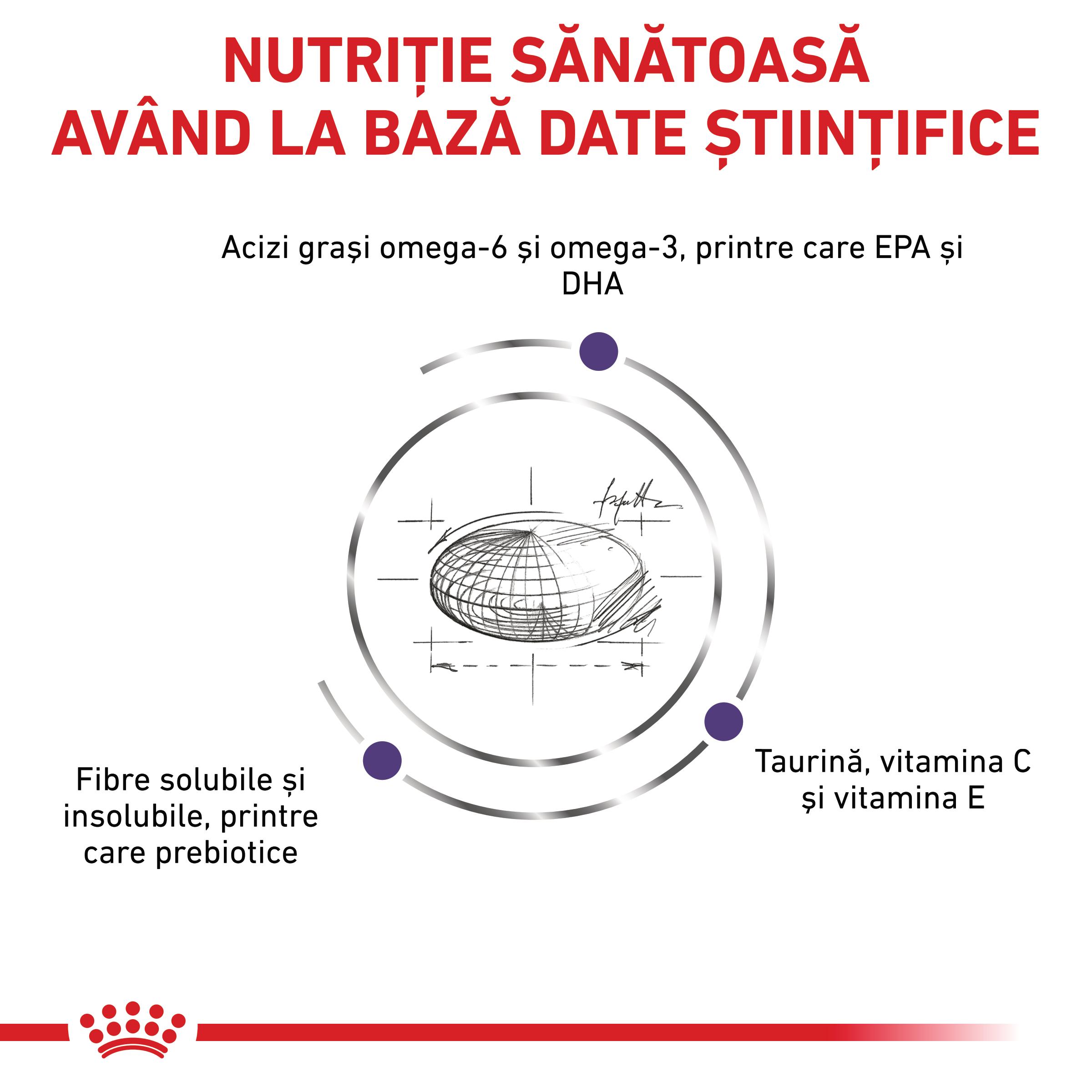 ROYAL CANIN VD Adult Medium Dog, M, dietă veterinară, hrană uscată câini, 10kg