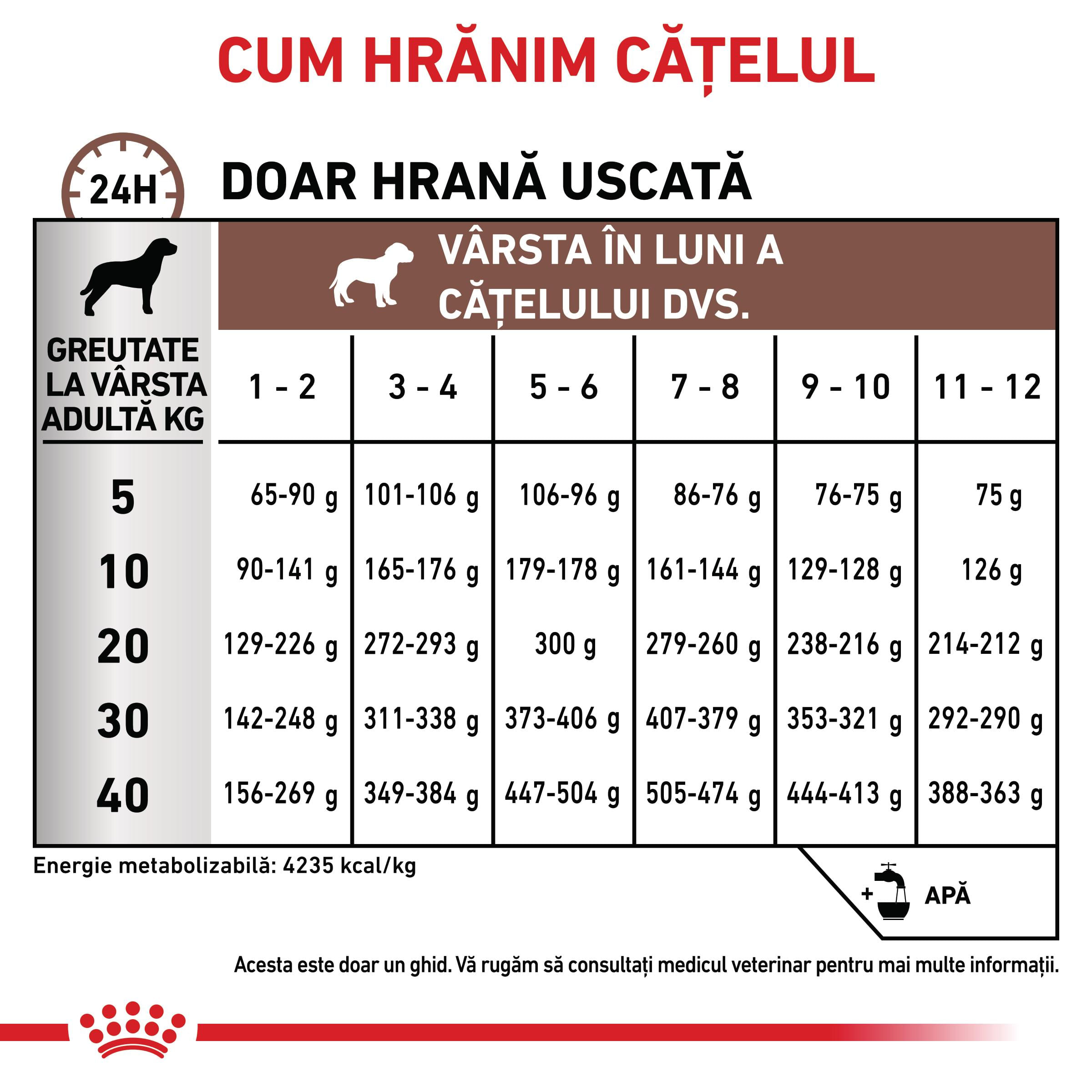 ROYAL CANIN VD Gastrointestinal Puppy, XS-XL, dietă veterinară, hrană uscată câini junior, sistem digestiv, 10kg