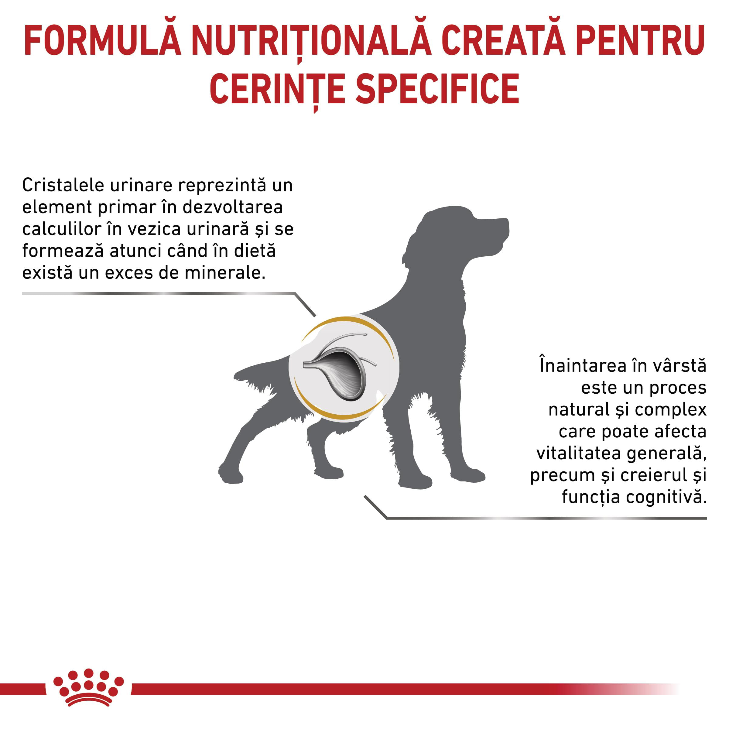 ROYAL CANIN VD Urinary S/O Ageing 7+, S-XL, dietă veterinară, hrană uscată câini senior, sistem urinar, 8kg