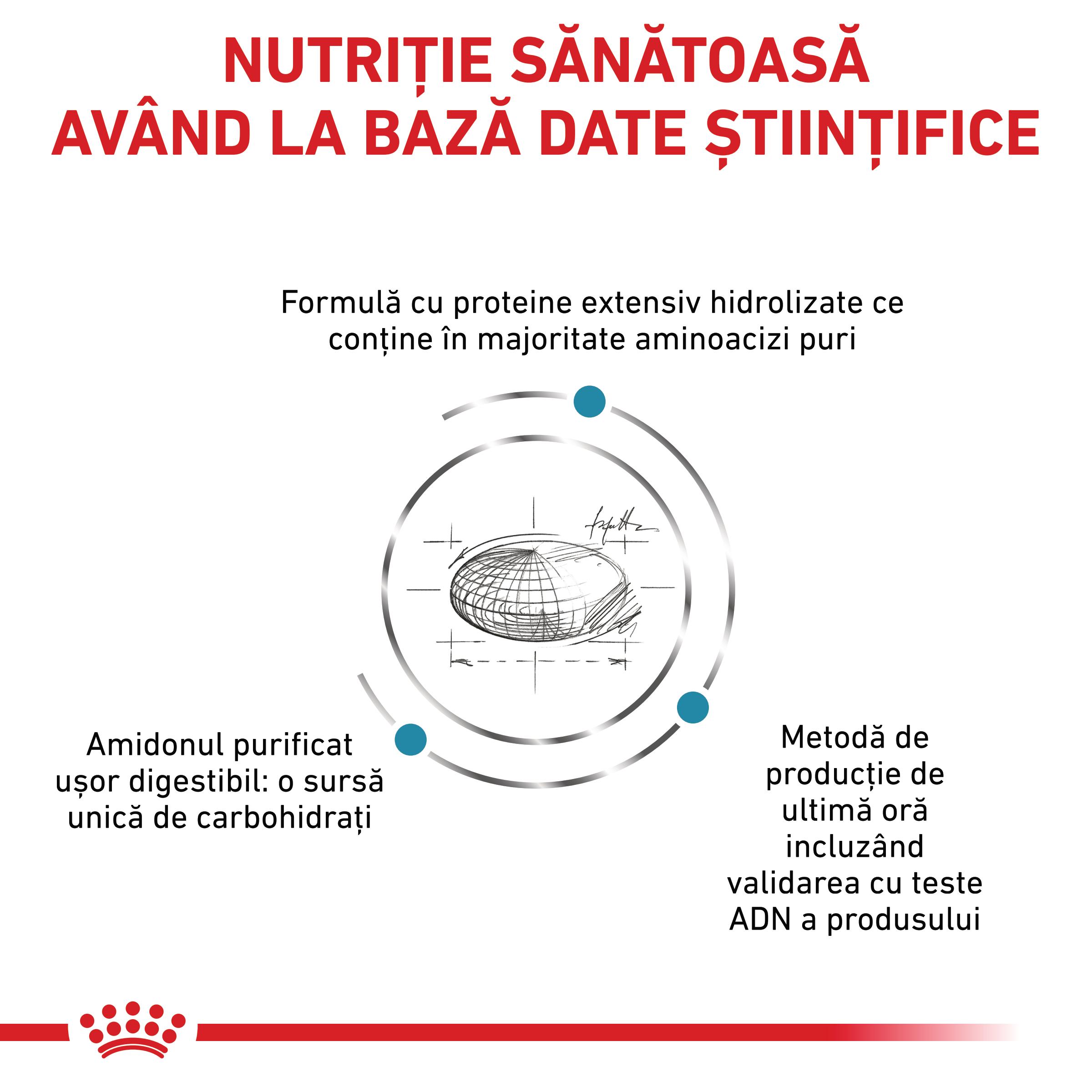 ROYAL CANIN VD Anallergenic, dietă veterinară, hrană uscată pisici, alergii, 4kg