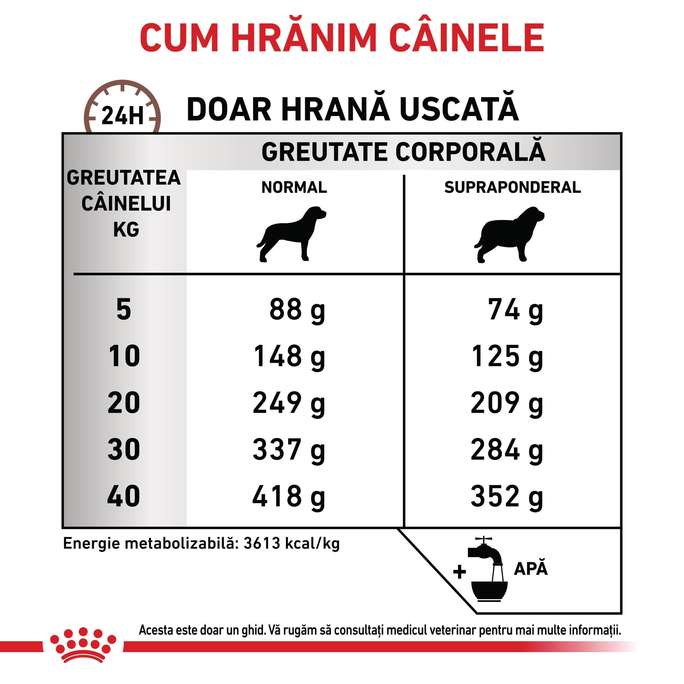 ROYAL CANIN VD Gastrointestinal Moderate Calorie, XS-XL, dietă veterinară, hrană uscată câini, sistem digestiv, 2kg