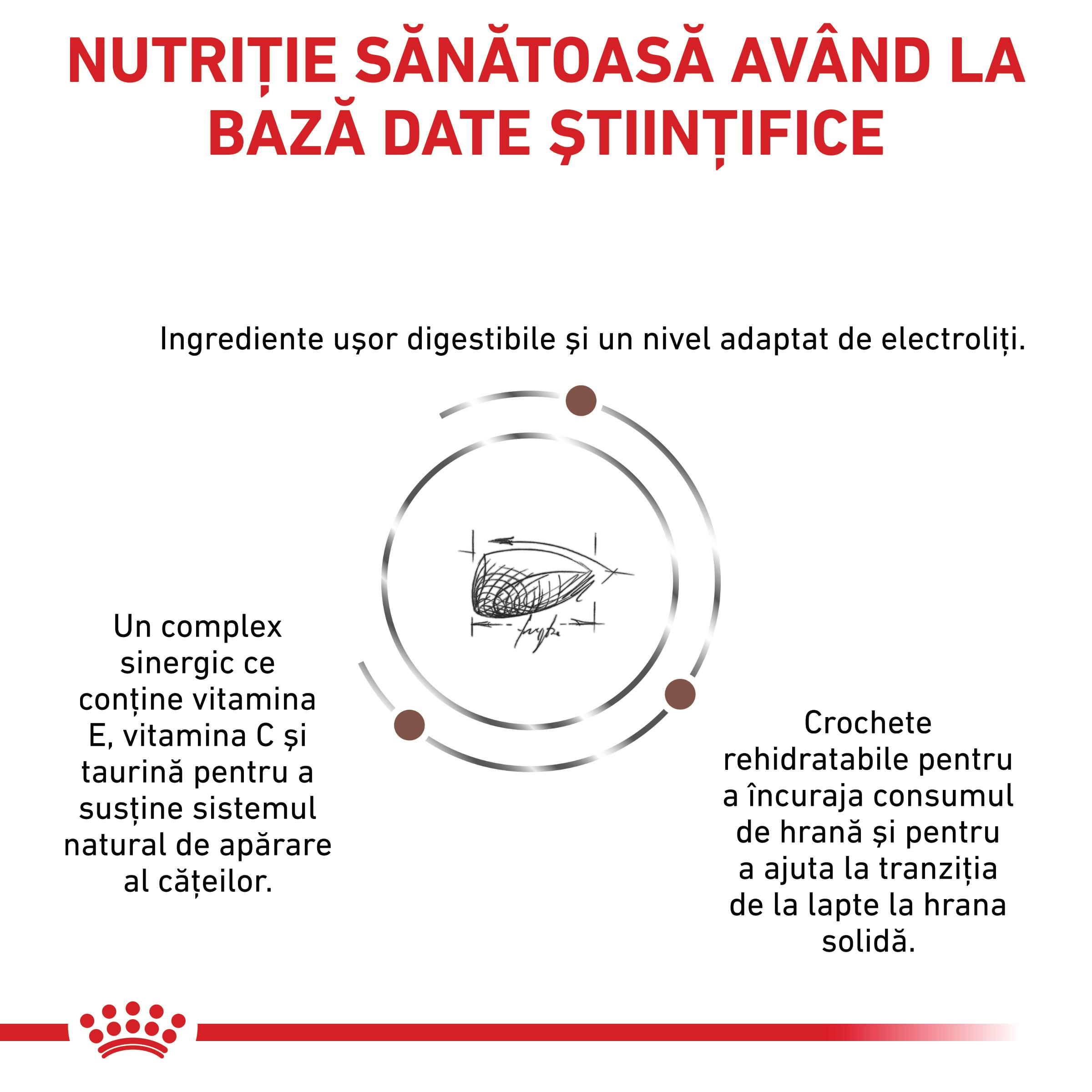 ROYAL CANIN VD Gastrointestinal Puppy, XS-XL, dietă veterinară, hrană uscată câini junior, sistem digestiv, 10kg