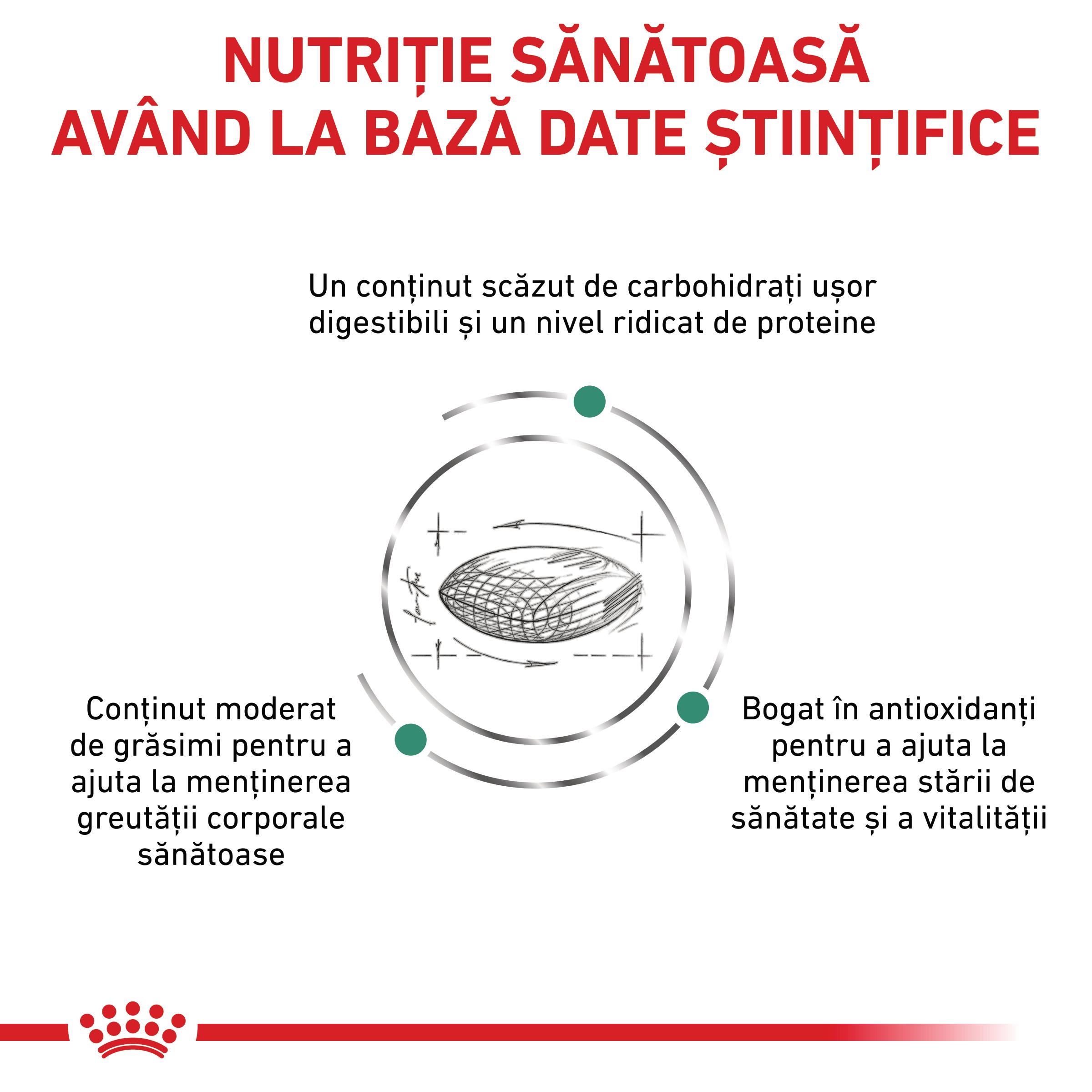 ROYAL CANIN VD Diabetic, dietă veterinară, hrană uscată pisici, diabet, 400g