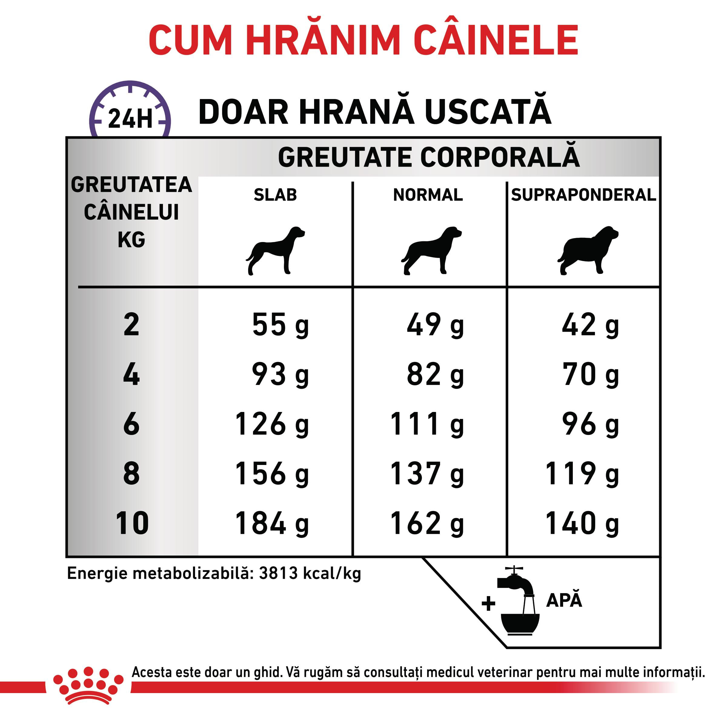 ROYAL CANIN VD Dental Small Dog, XS-S, dietă veterinară, hrană uscată câini, sensibilități dentare, 1.5kg