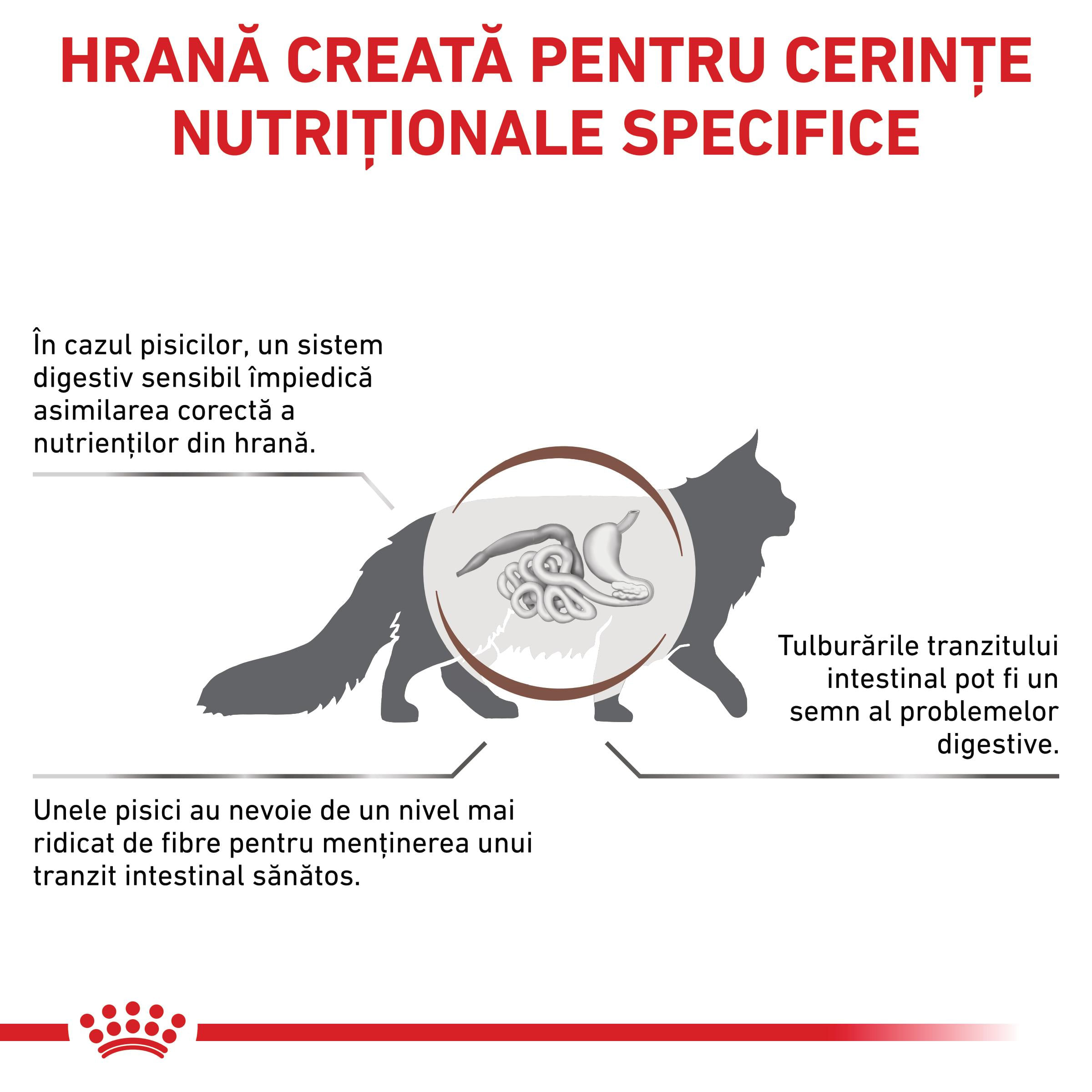 ROYAL CANIN VD Gastrointestinal Fibre Response, dietă veterinară, hrană uscată pisici, sistem digestiv, 4kg