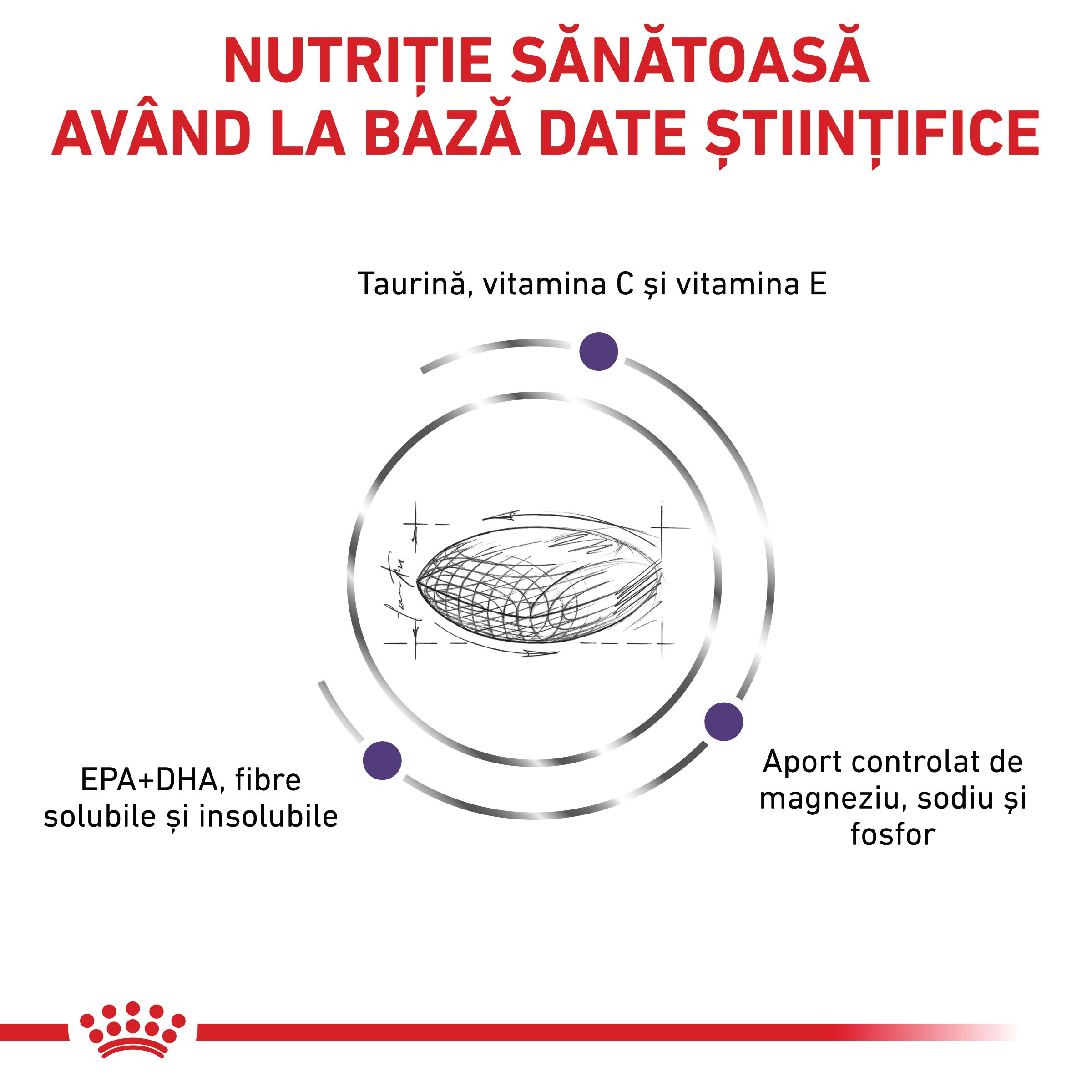 ROYAL CANIN VD Adult Cat, dietă veterinară, hrană uscată pisici, 8kg