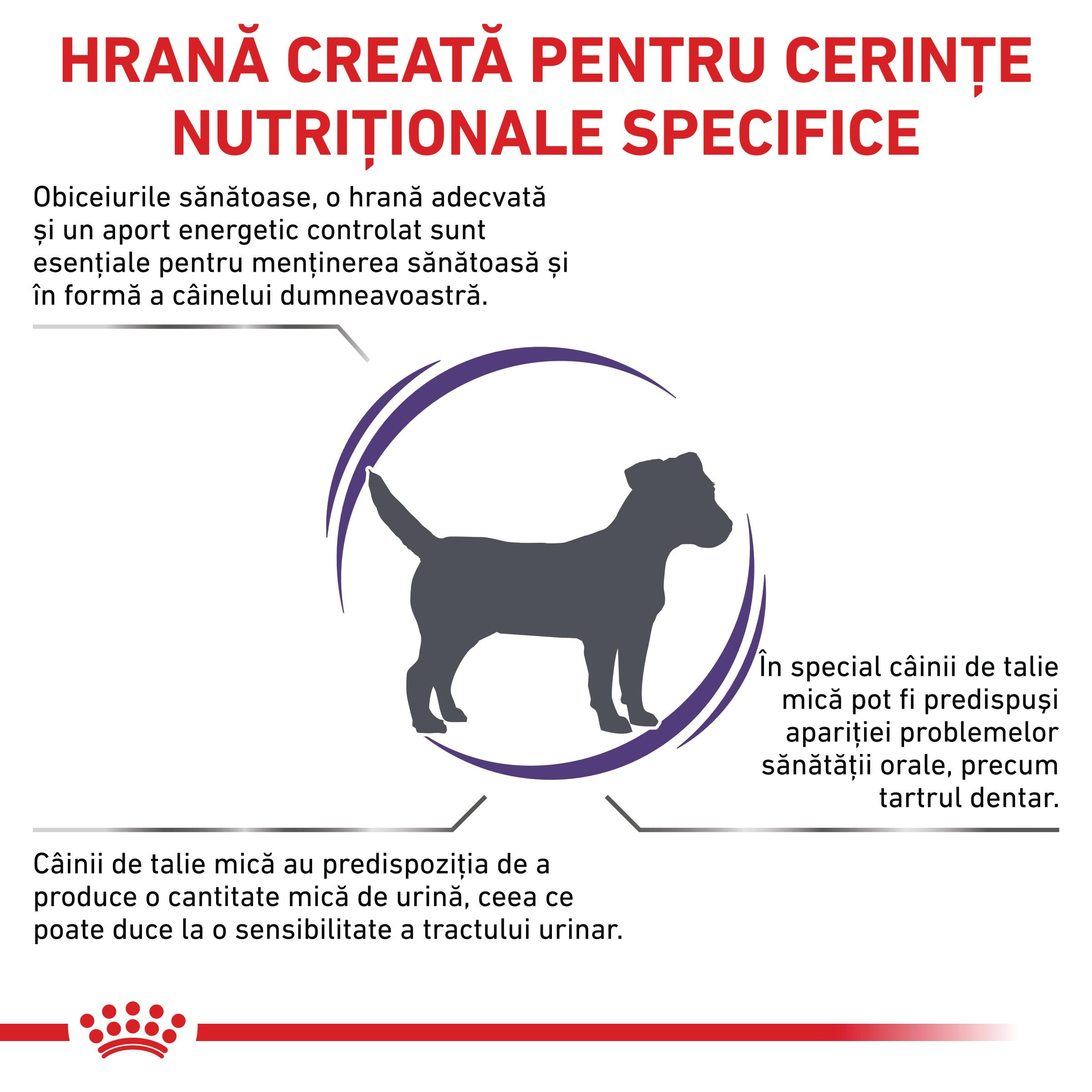 ROYAL CANIN VD Adult Small Dog, XS-S, dietă veterinară, hrană uscată câini, 2kg
