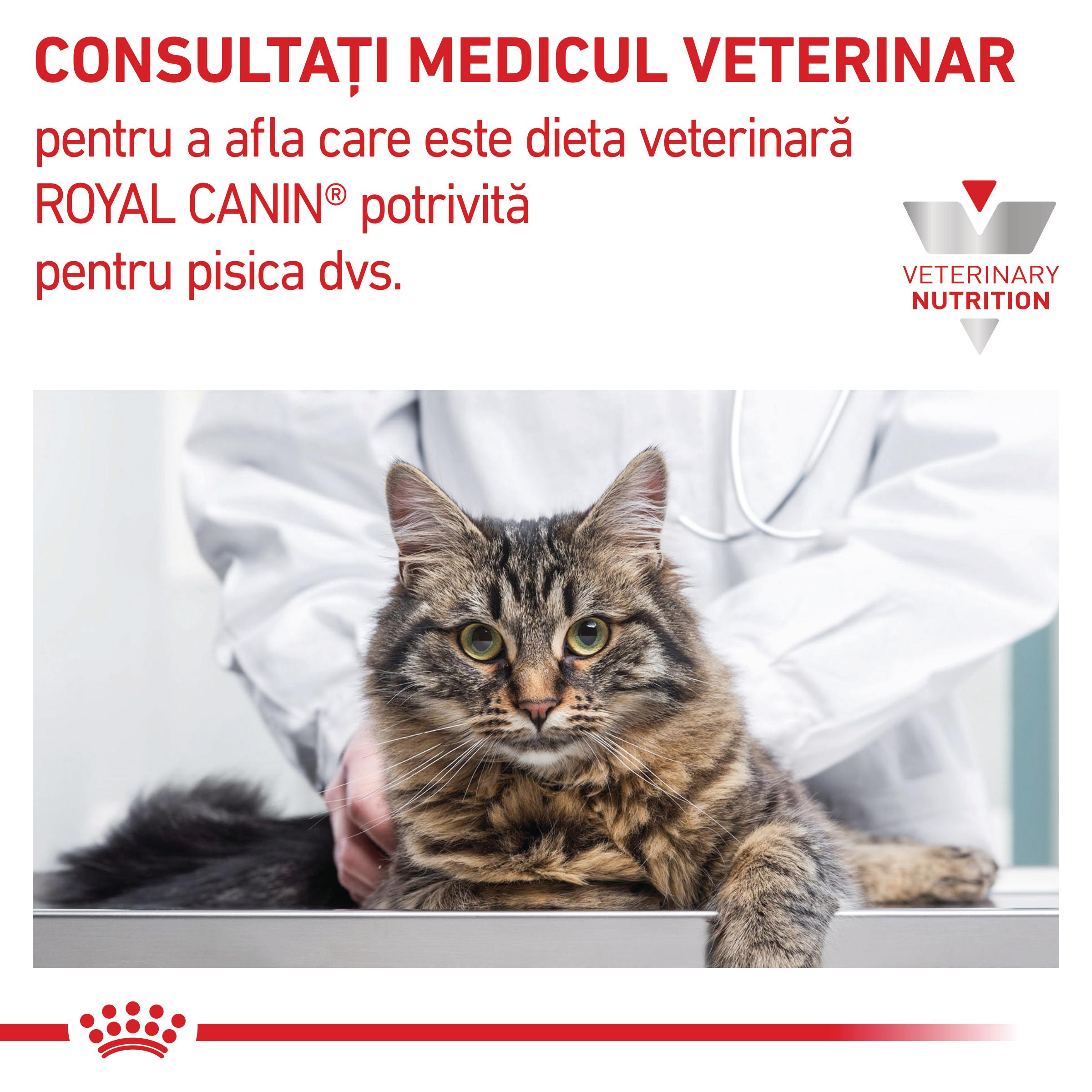 ROYAL CANIN VD Renal, Pui, dietă veterinară, plic hrană umedă pisici, sistem renal, (în sos), bax, 85g x 12buc