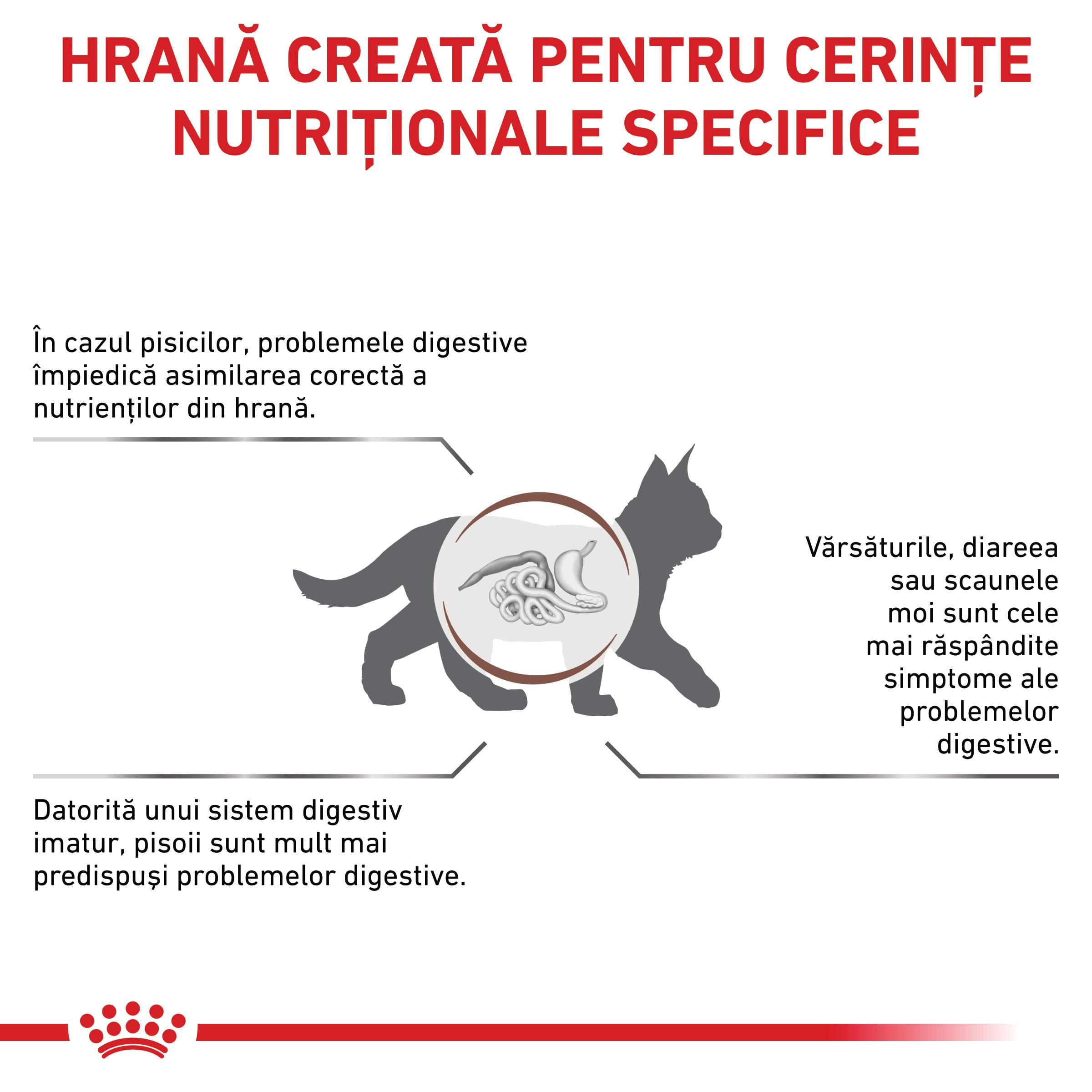 ROYAL CANIN VD Gastrointestinal Kitten, dietă veterinară, hrană uscată pisici junior, sistem digestiv, 2kg