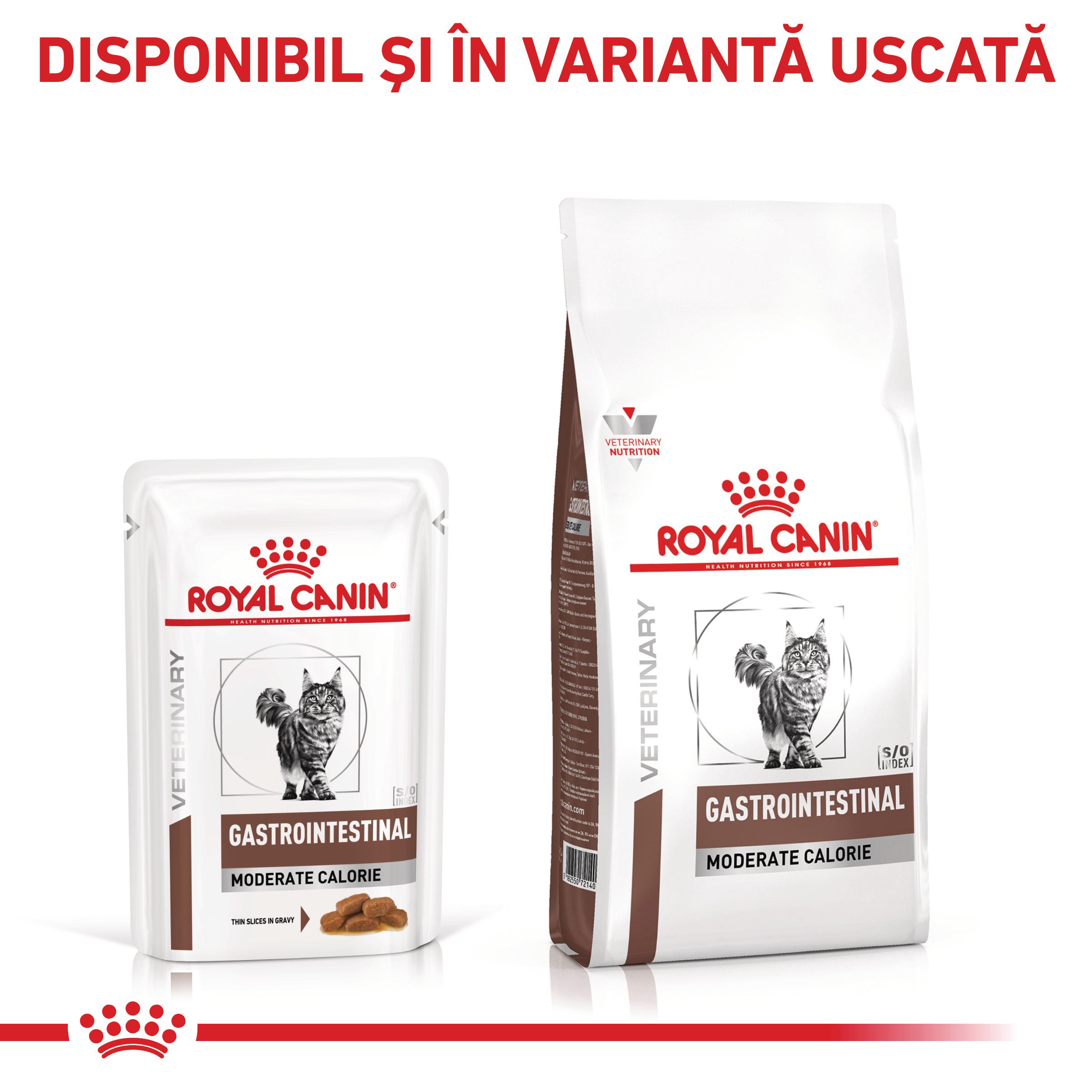 ROYAL CANIN VD Gastrointestinal Moderate Calorie, dietă veterinară, plic hrană umedă pisici, sistem digestiv, (în sos), bax, 85g x 12buc