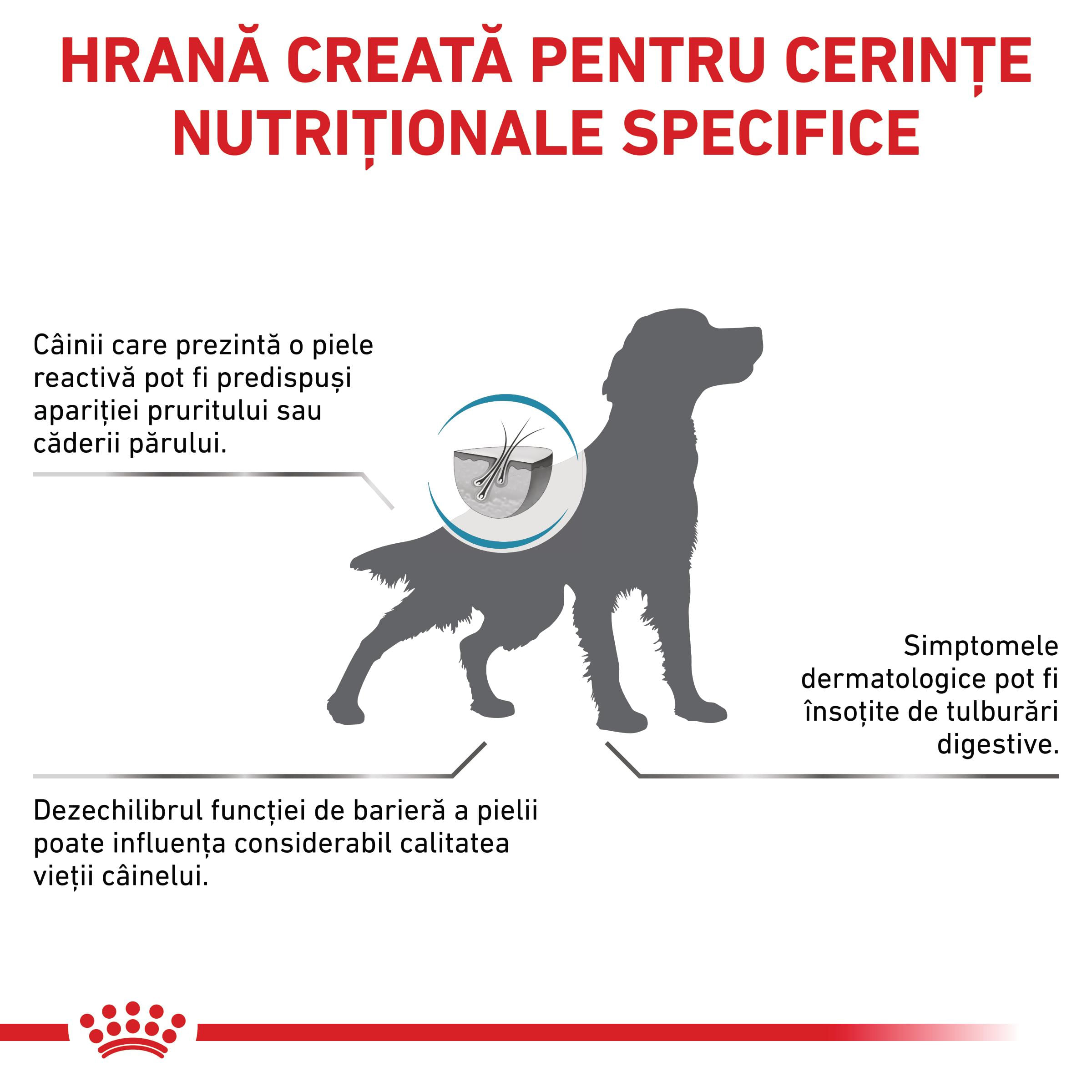 ROYAL CANIN VD Skin Care, XS-XL, dietă veterinară, hrană uscată câini, afecțiuni dermatologice, 2kg