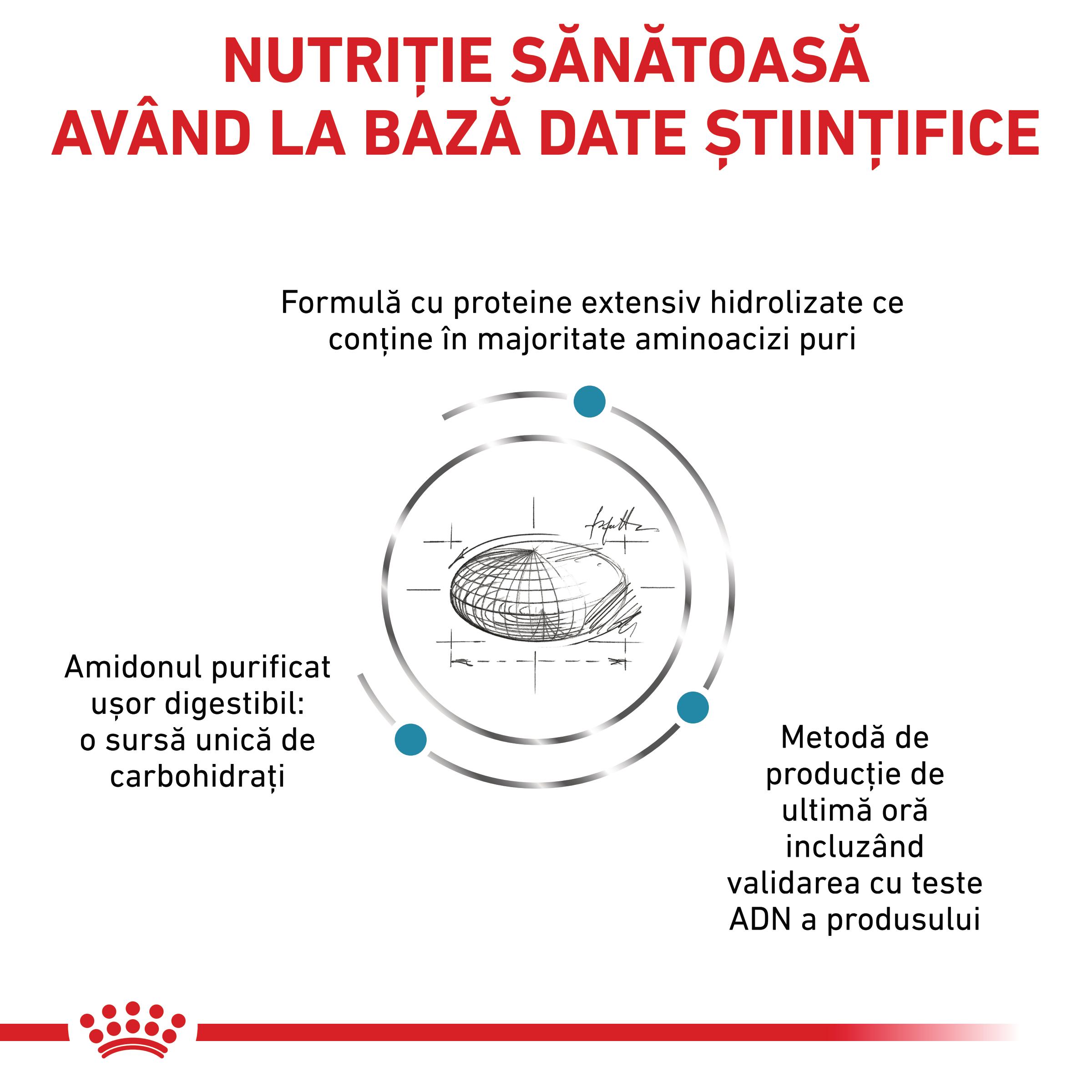 ROYAL CANIN VD Anallergenic, XS-XL, dietă veterinară, hrană uscată câini, alergii alimentare, 3kg