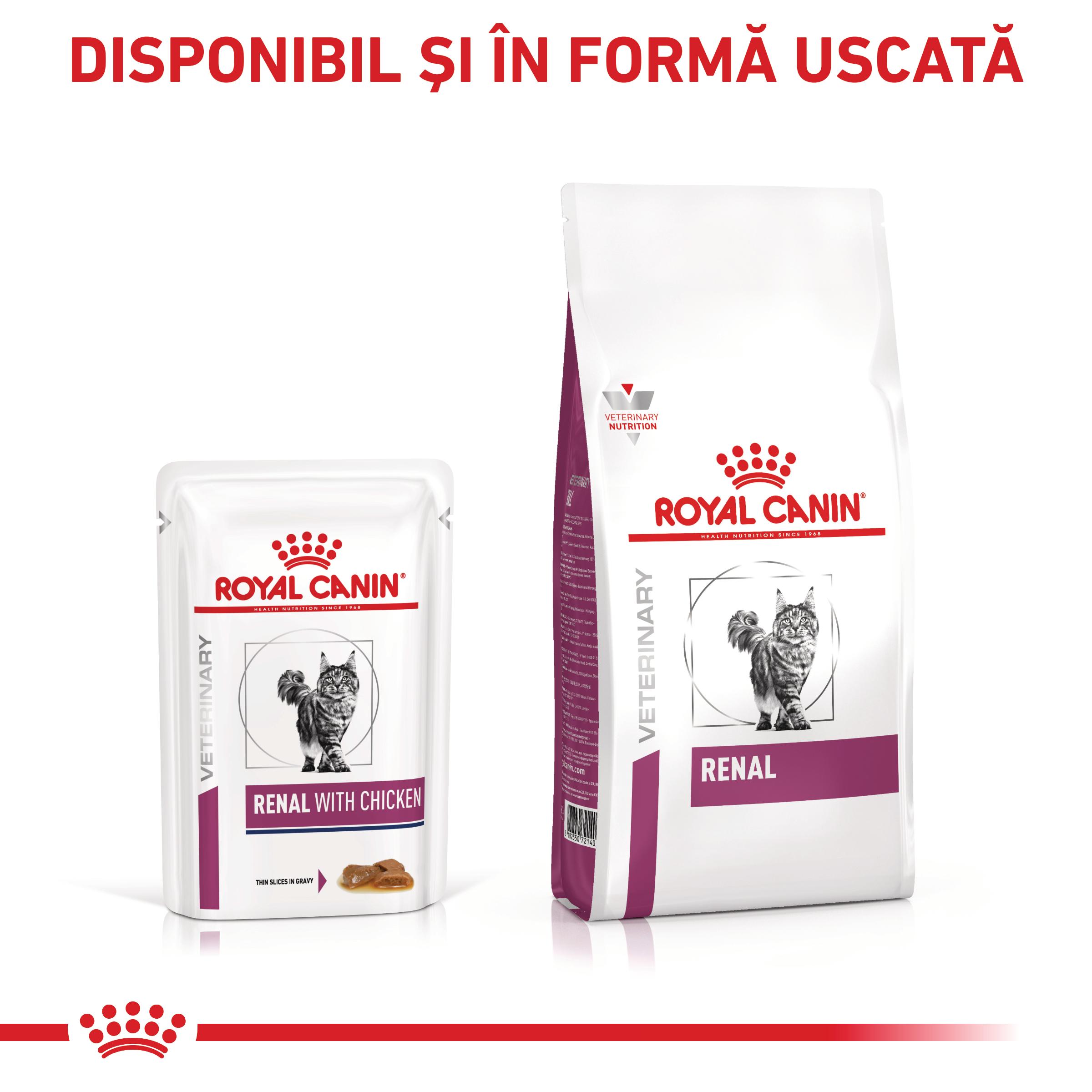 ROYAL CANIN VD Renal, Pui, dietă veterinară, plic hrană umedă pisici, sistem renal, (în sos), bax, 85g x 12buc