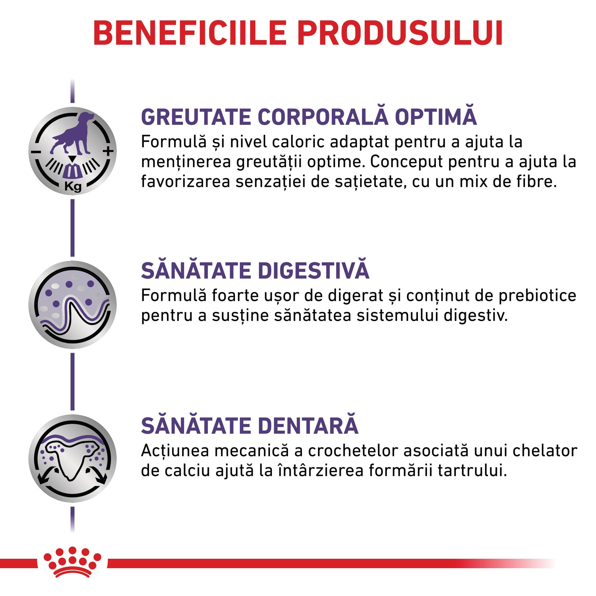 ROYAL CANIN VD Neutered Adult Small Dog, XS-S, dietă veterinară, hrană uscată câini, 8kg