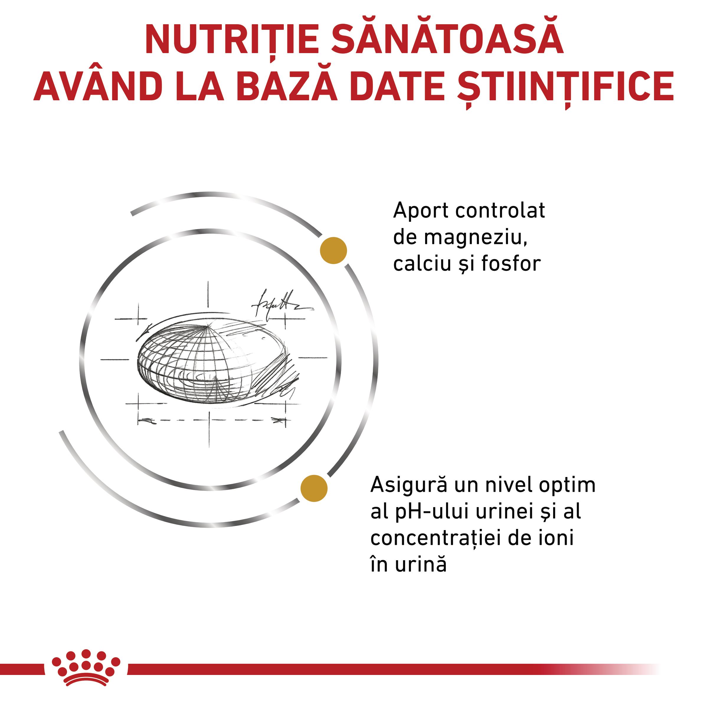 ROYAL CANIN VD Urinary S/O, dietă veterinară, hrană uscată pisici, sistem urinar, 400g