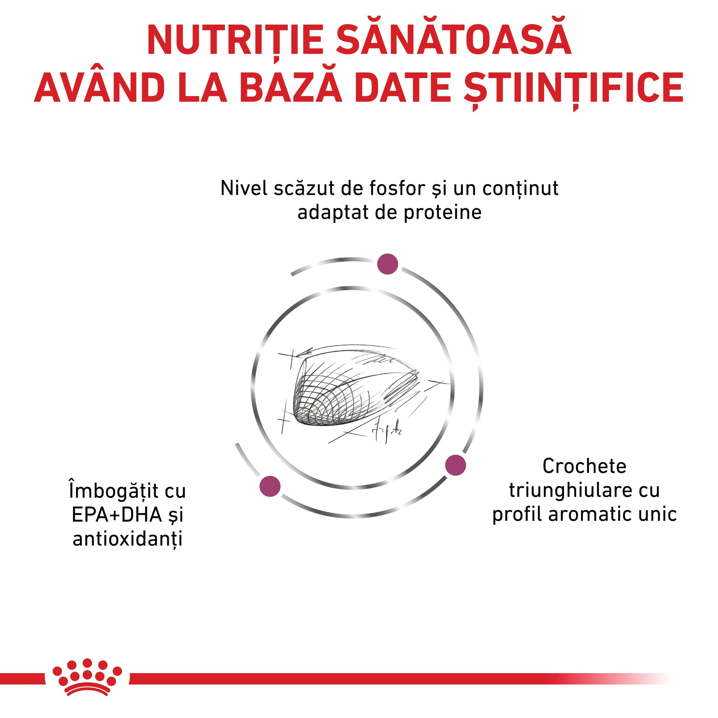 ROYAL CANIN VD Renal Special, dietă veterinară, hrană uscată pisici, sistem renal, 4kg