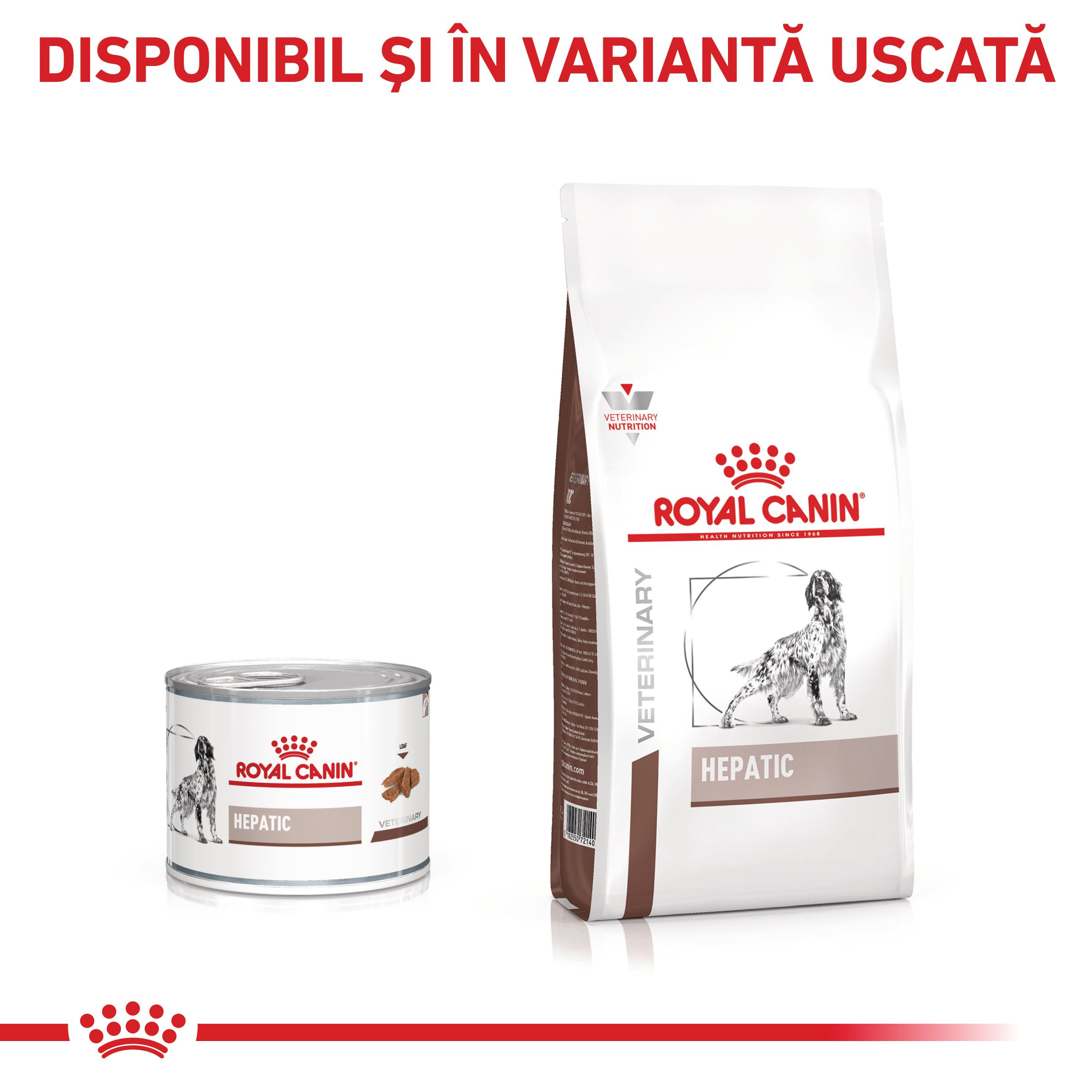 ROYAL CANIN VD Hepatic, XS-XL, dietă veterinară, conservă hrană umedă câini, suport hepatic, (pate), 420g