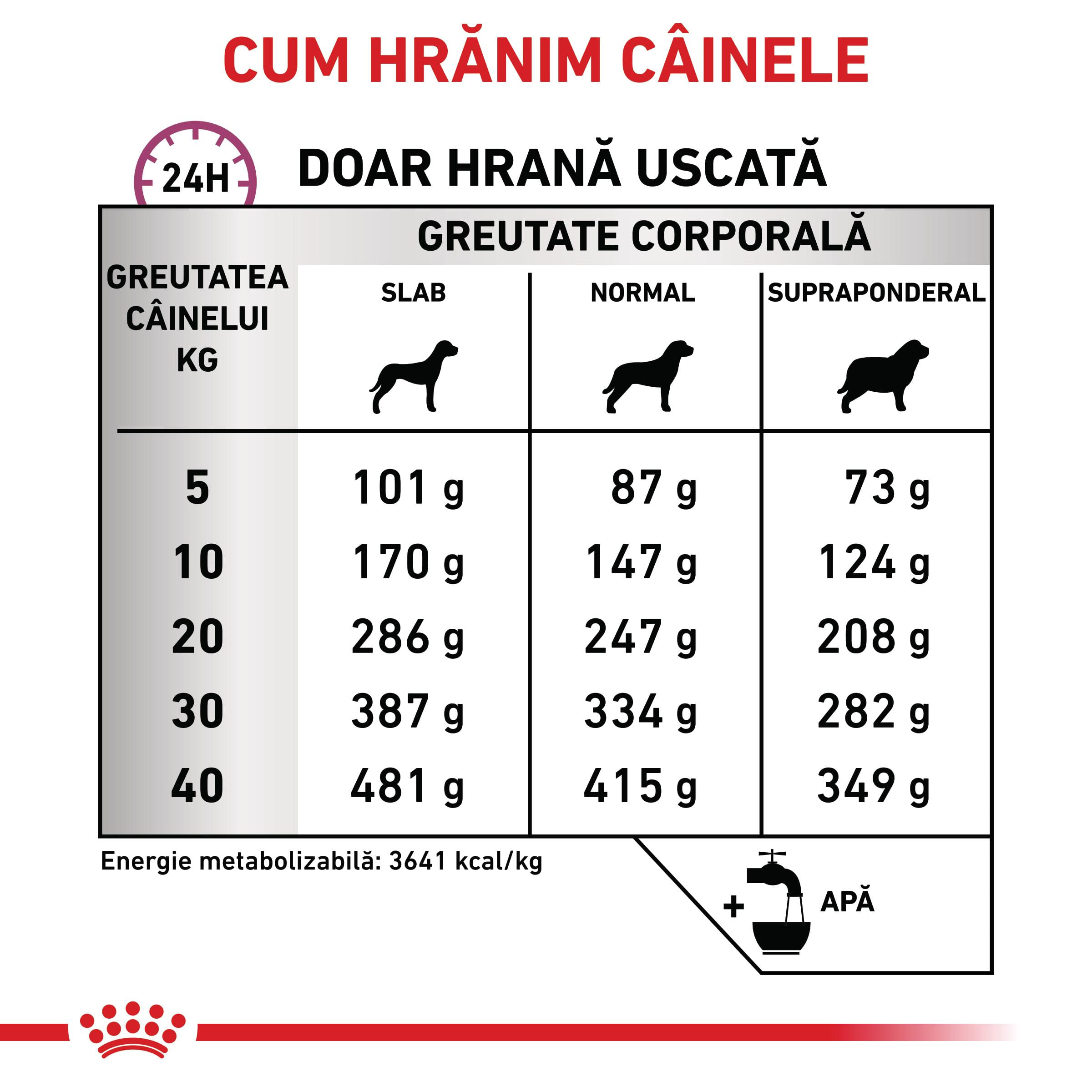 ROYAL CANIN VD Mobility Support, XS-XL, dietă veterinară, hrană uscată câini, sistem articular, 7kg