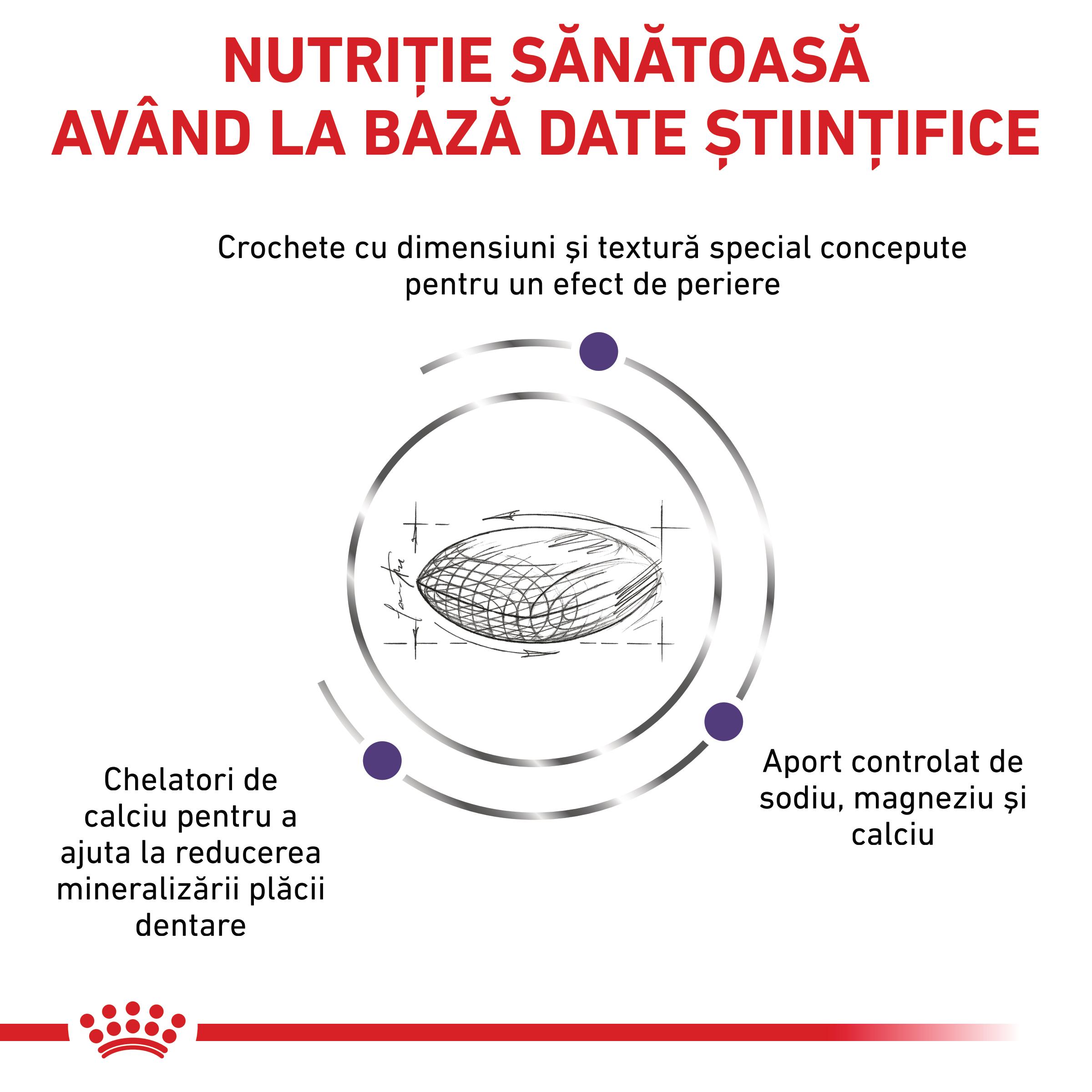 ROYAL CANIN VD Dental Small Dog, XS-S, dietă veterinară, hrană uscată câini, sensibilități dentare, 1.5kg