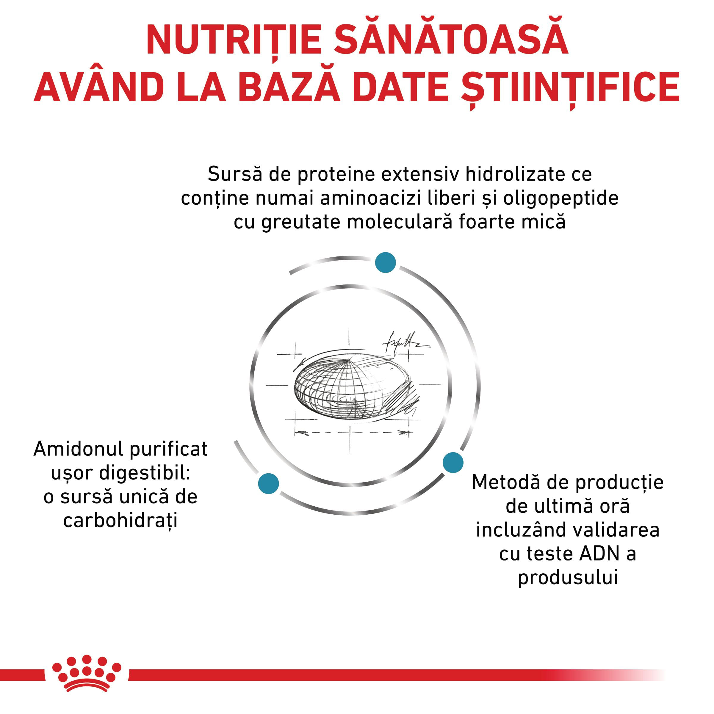 ROYAL CANIN VD Anallergenic Small Dog, XS-S, dietă veterinară, hrană uscată câini, alergii alimentare, 1.5kg