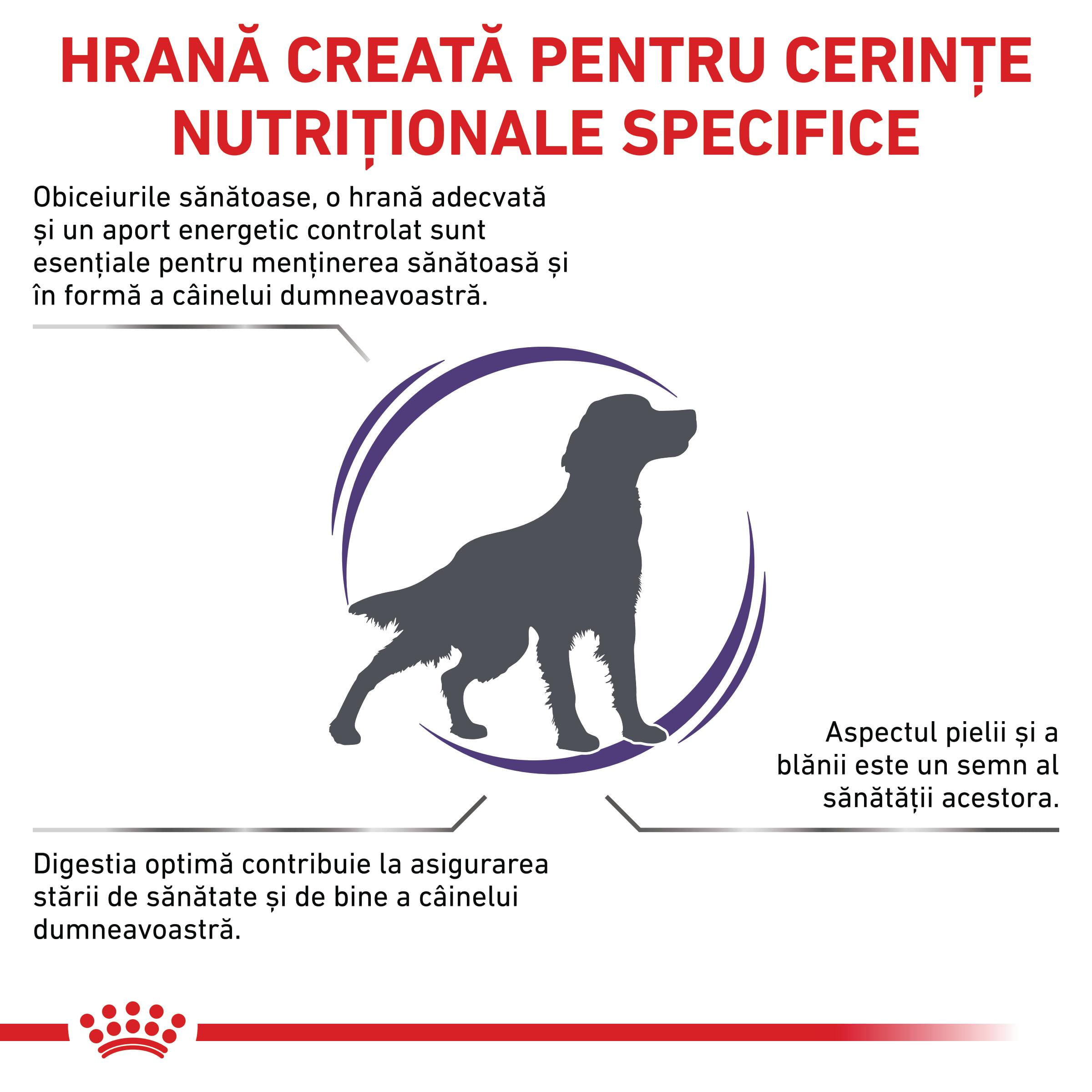 ROYAL CANIN VD Adult Medium Dog, M, dietă veterinară, hrană uscată câini, 4kg