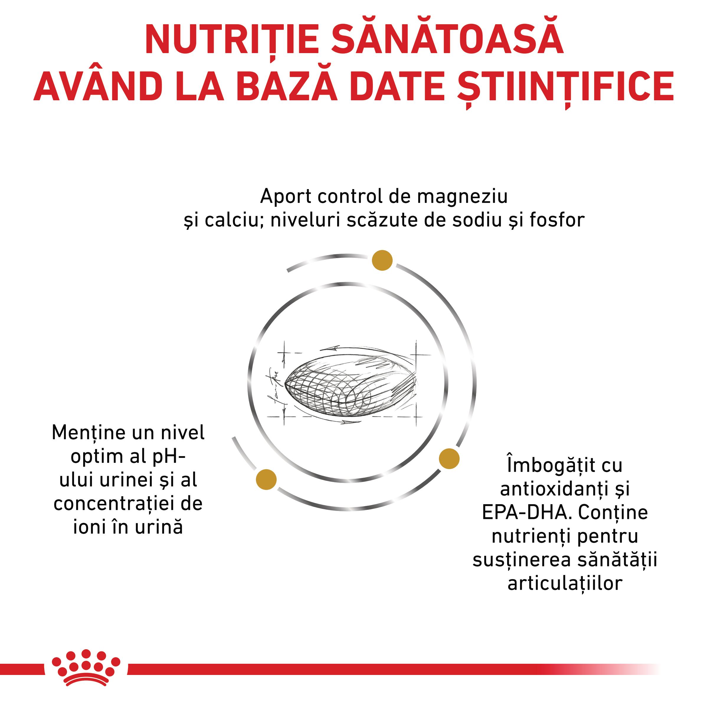 ROYAL CANIN VD Urinary S/O Ageing 7+, S-XL, dietă veterinară, hrană uscată câini senior, sistem urinar, 8kg