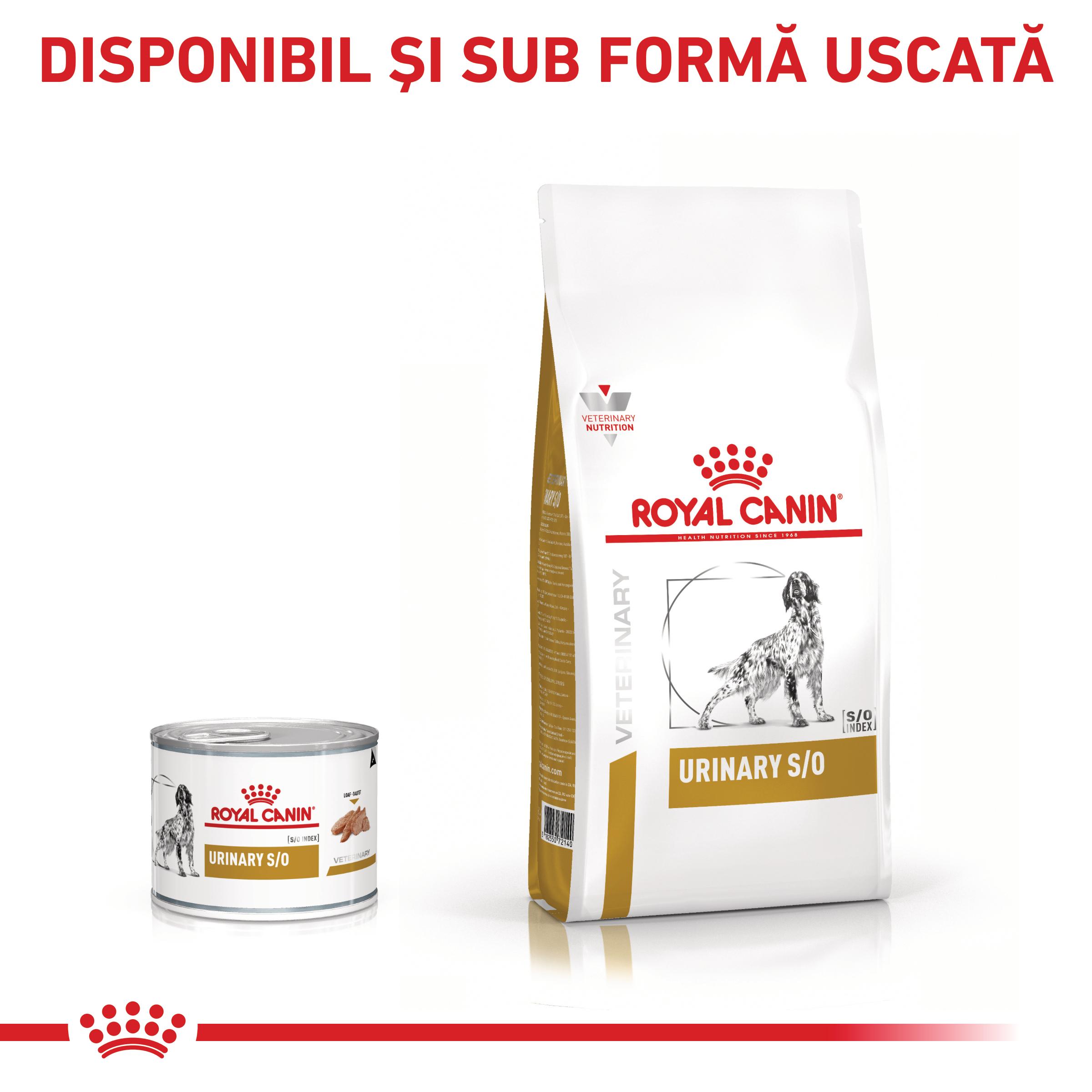 ROYAL CANIN VD Urinary S/O, XS-XL, dietă veterinară, conservă hrană umedă câini, sistem urinar, (pate), 410g