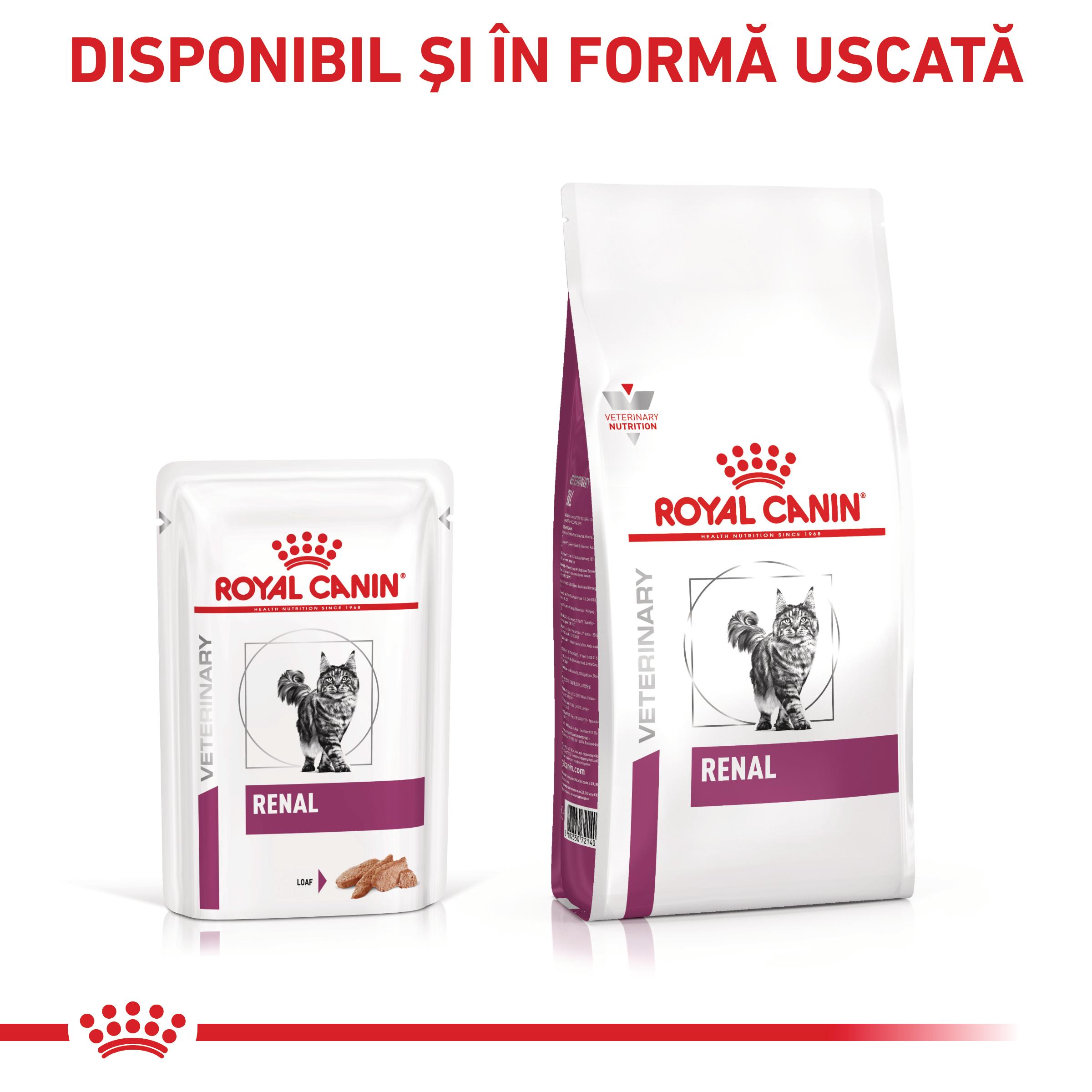 ROYAL CANIN VD Renal Loaf, dietă veterinară, plic hrană umedă pisici, sistem renal, (pate), bax, 85g x 12buc
