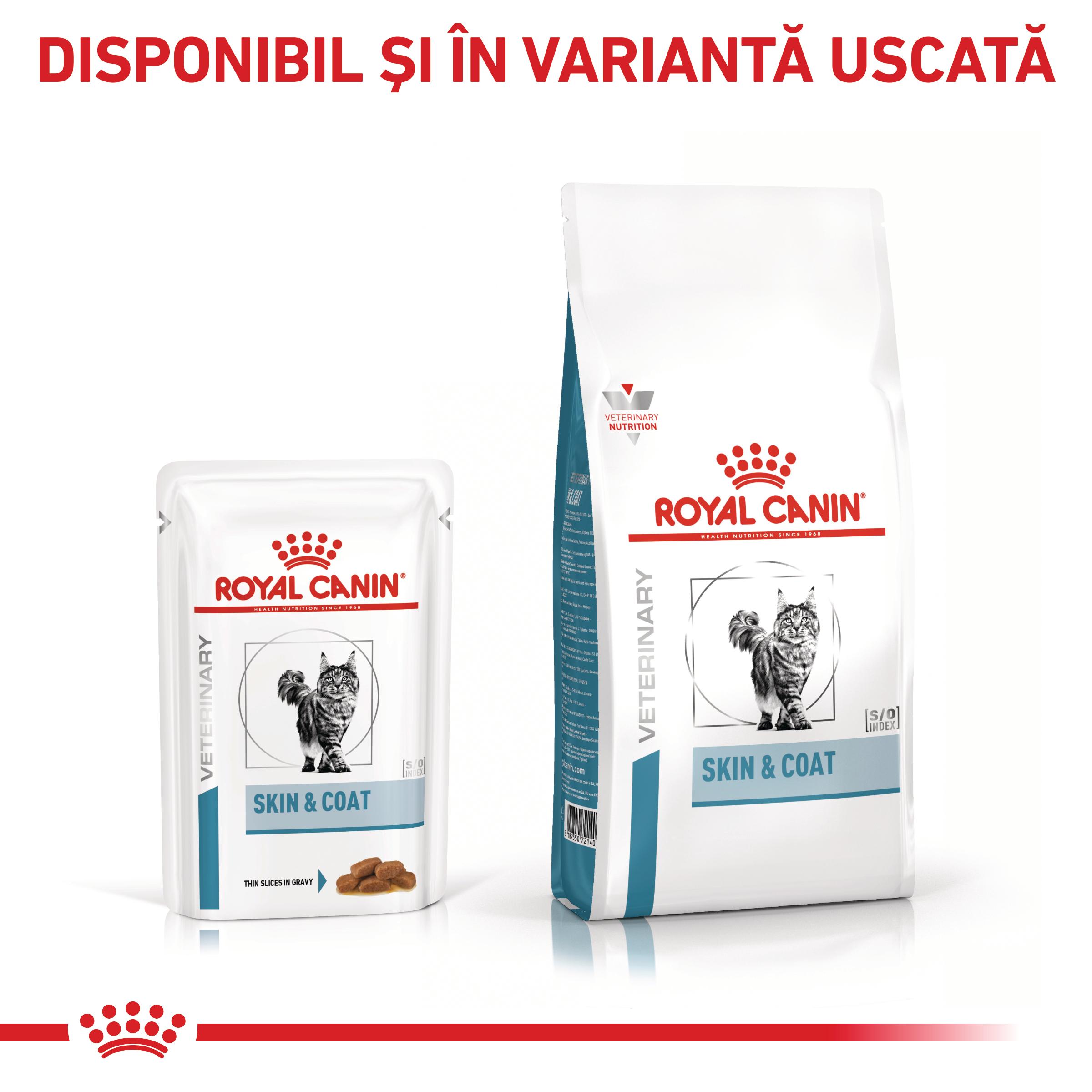 ROYAL CANIN VD Skin&Coat, dietă veterinară, plic hrană umedă pisici, afecțiuni dermatologice, (în sos), bax, 85g x 12buc