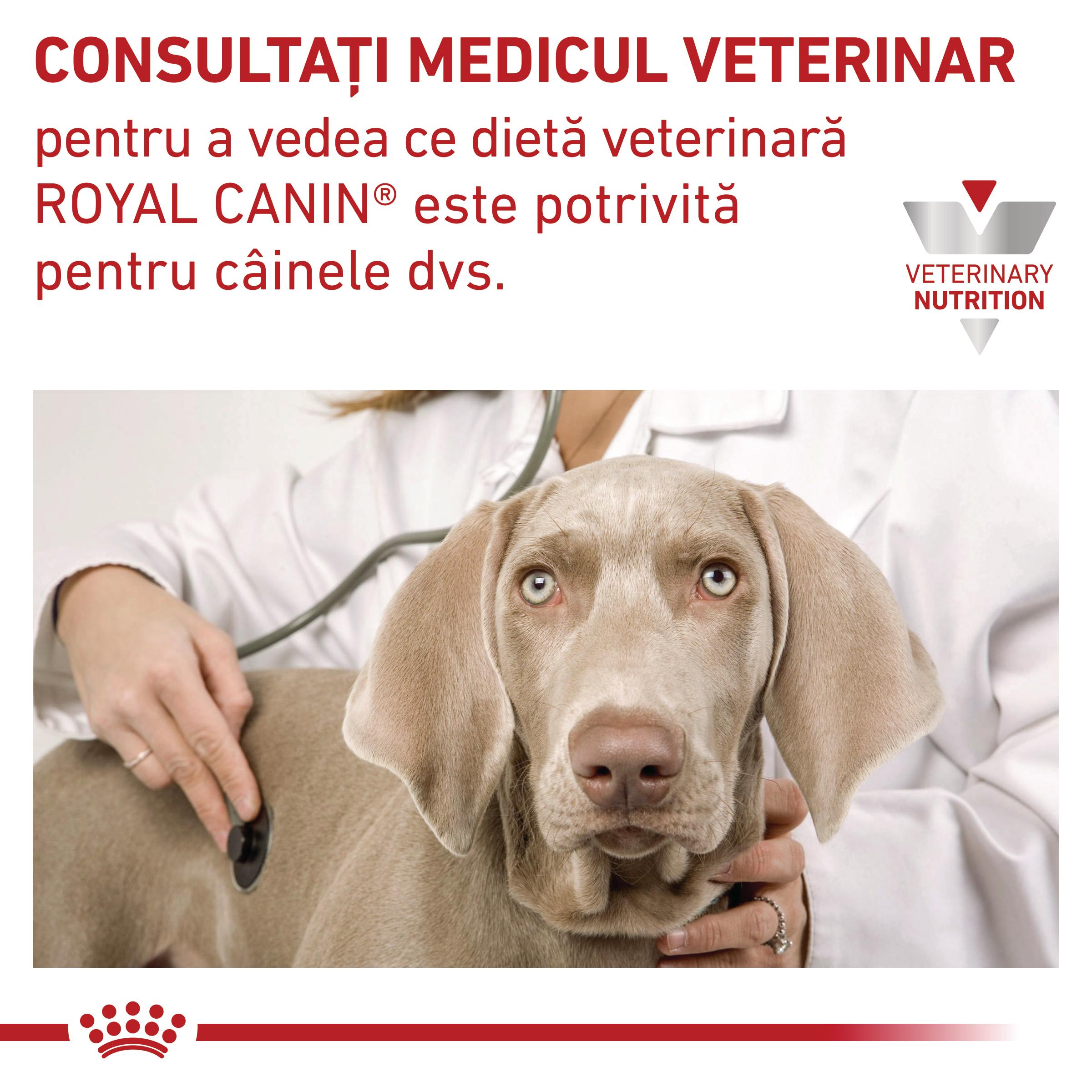 ROYAL CANIN VD Urinary S/O Ageing 7+, S-XL, dietă veterinară, hrană uscată câini senior, sistem urinar, 8kg