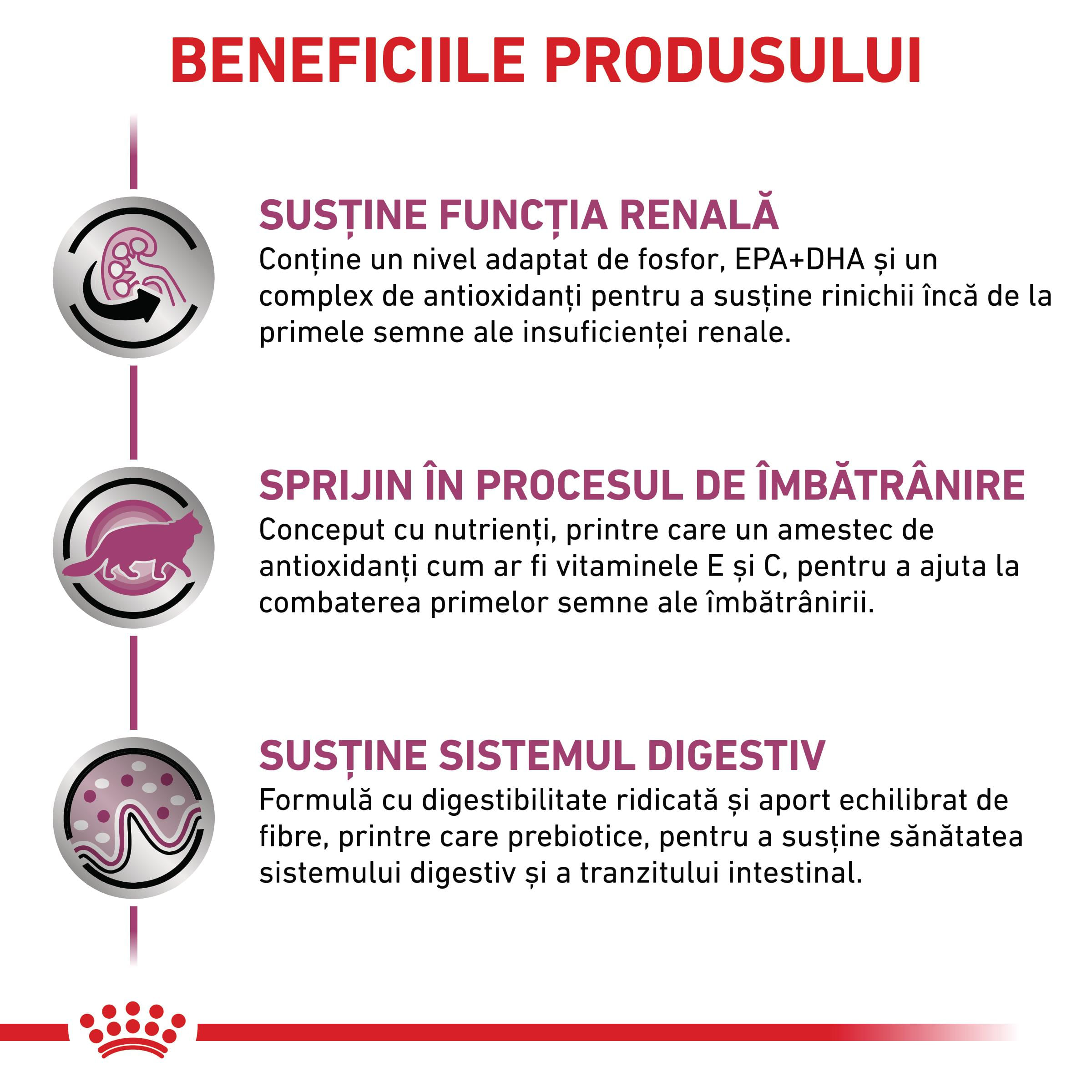 ROYAL CANIN VD Early Renal, dietă veterinară, plic hrană umedă pisici, sistem renal, (în sos), bax, 85g x 12buc