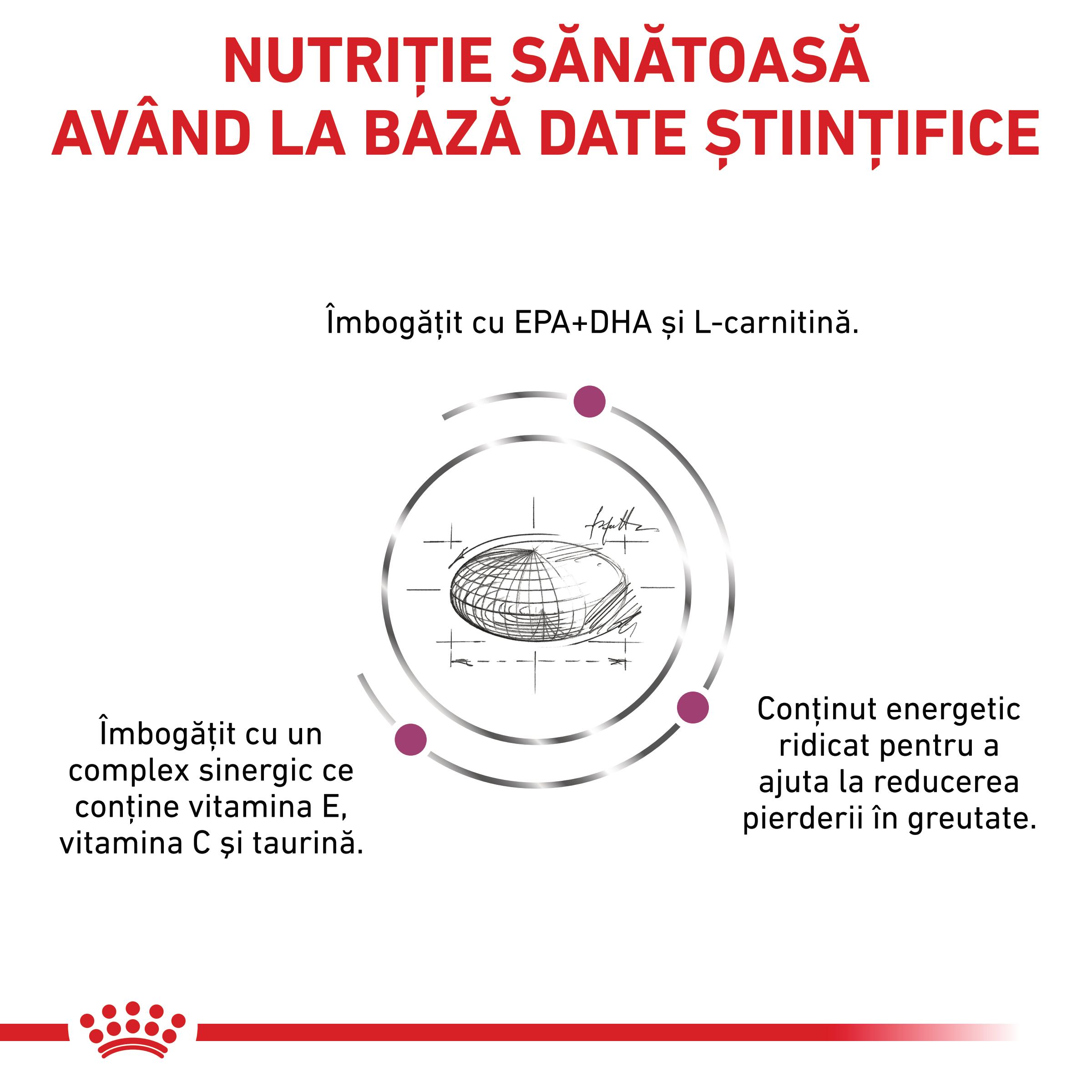 ROYAL CANIN VD Cardiac, XS-XL, dietă veterinară, hrană uscată câini, sistem cardio-vascular, 7.5kg