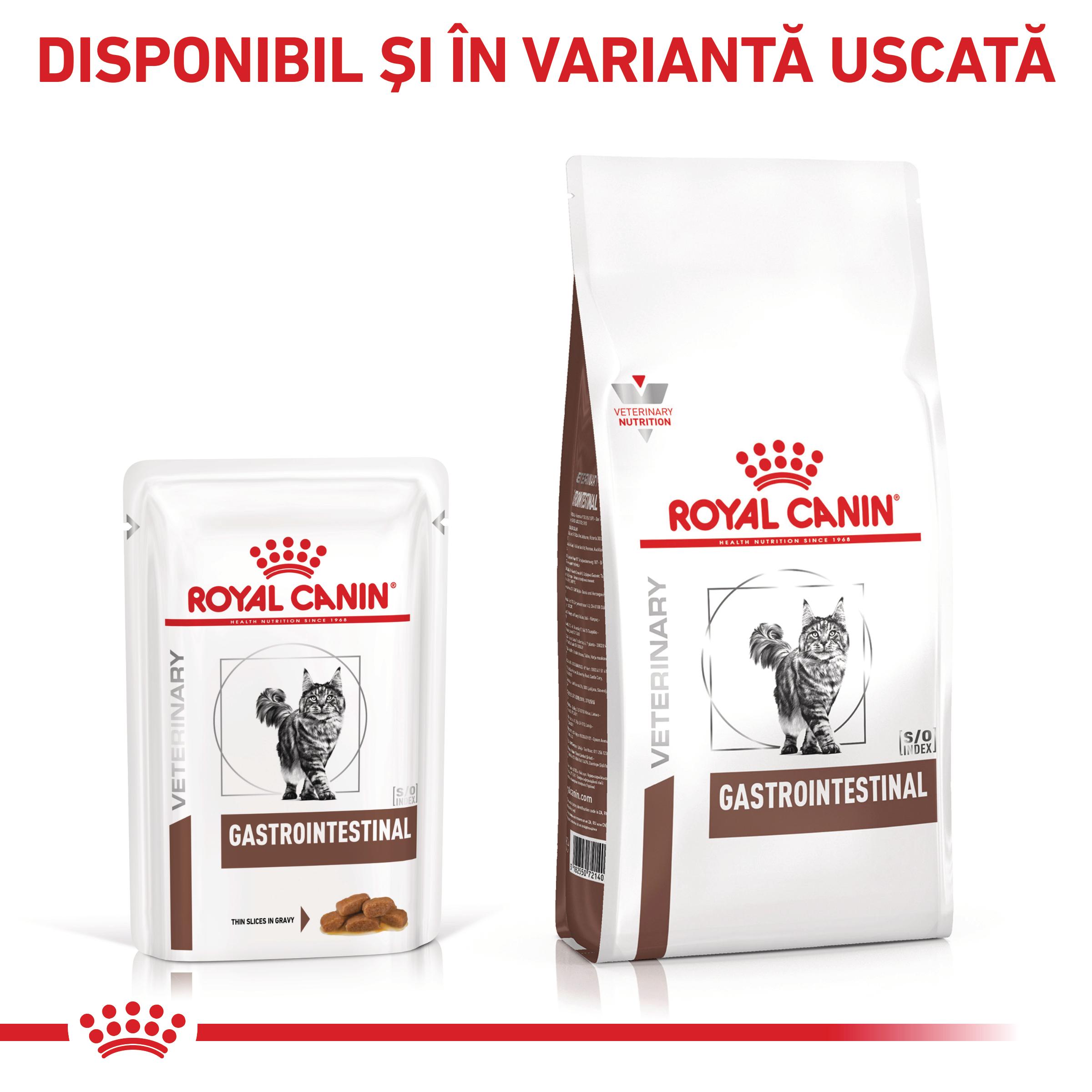 ROYAL CANIN VD Gastrointestinal, dietă veterinară, plic hrană umedă pisici, sistem digestiv, (în sos), bax, 85g x 12buc