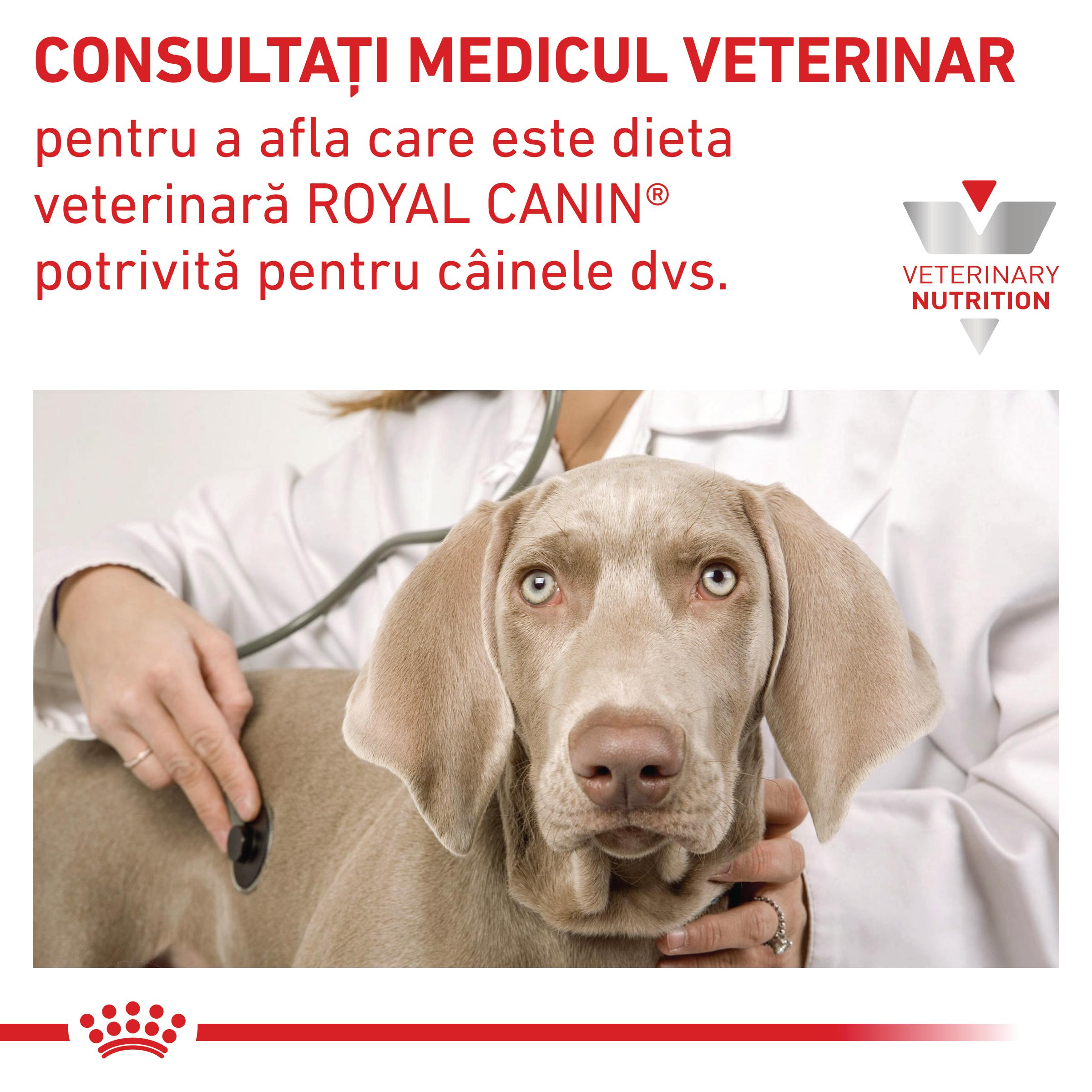 ROYAL CANIN VD Skin Care, XS-XL, dietă veterinară, hrană uscată câini, afecțiuni dermatologice, 2kg