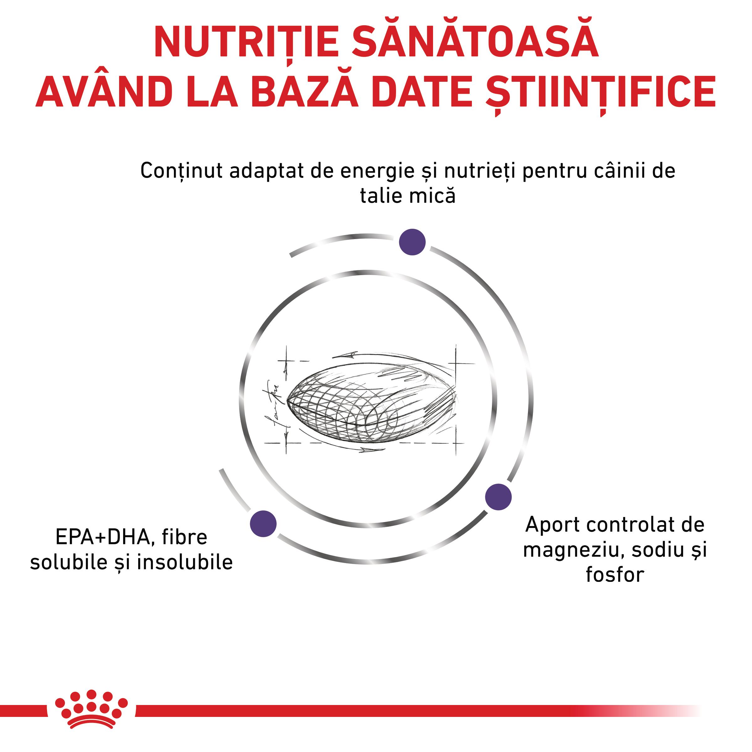 ROYAL CANIN VD Adult Small Dog, XS-S, dietă veterinară, hrană uscată câini, 2kg