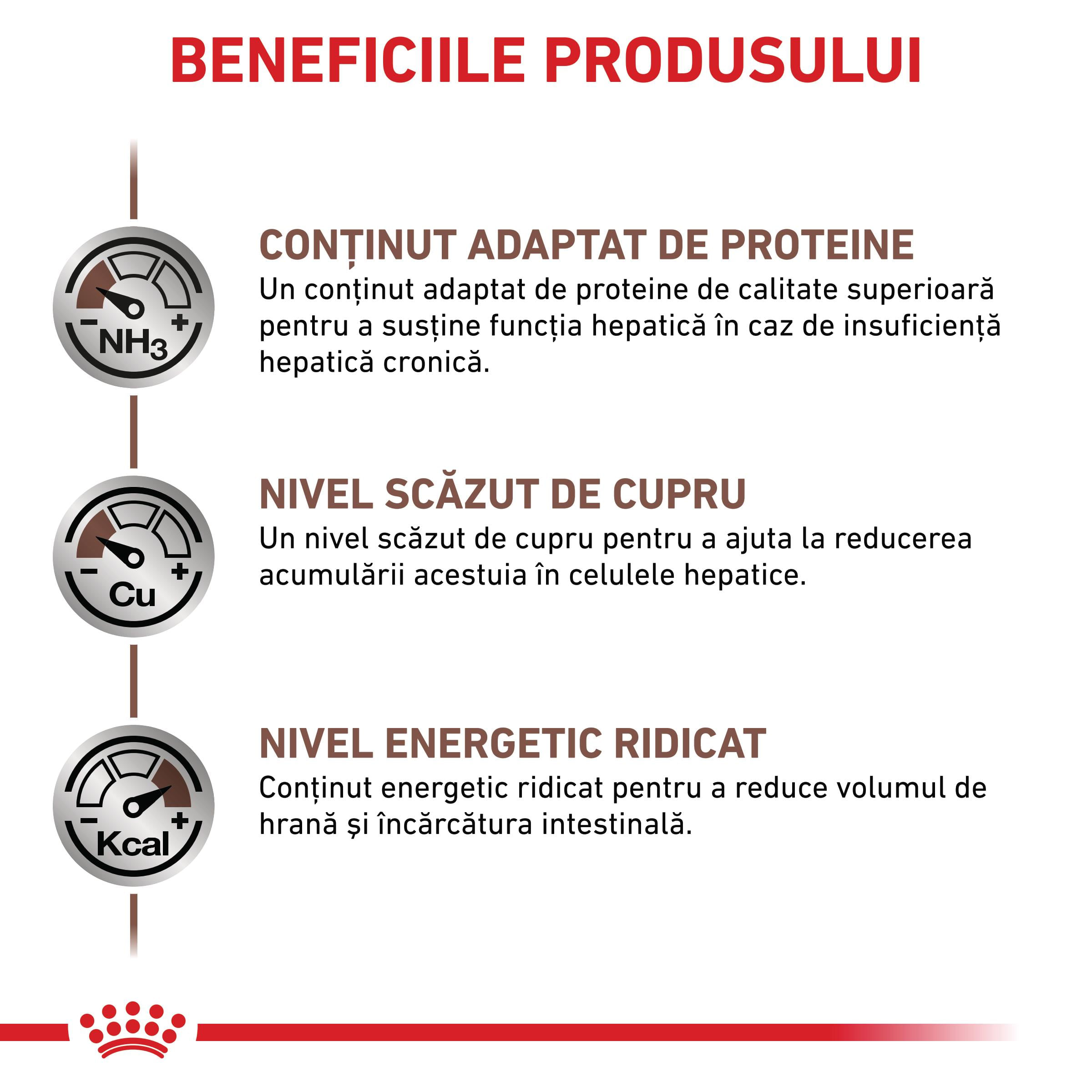 ROYAL CANIN VD Hepatic, XS-XL, dietă veterinară, conservă hrană umedă câini, suport hepatic, (pate), 200g