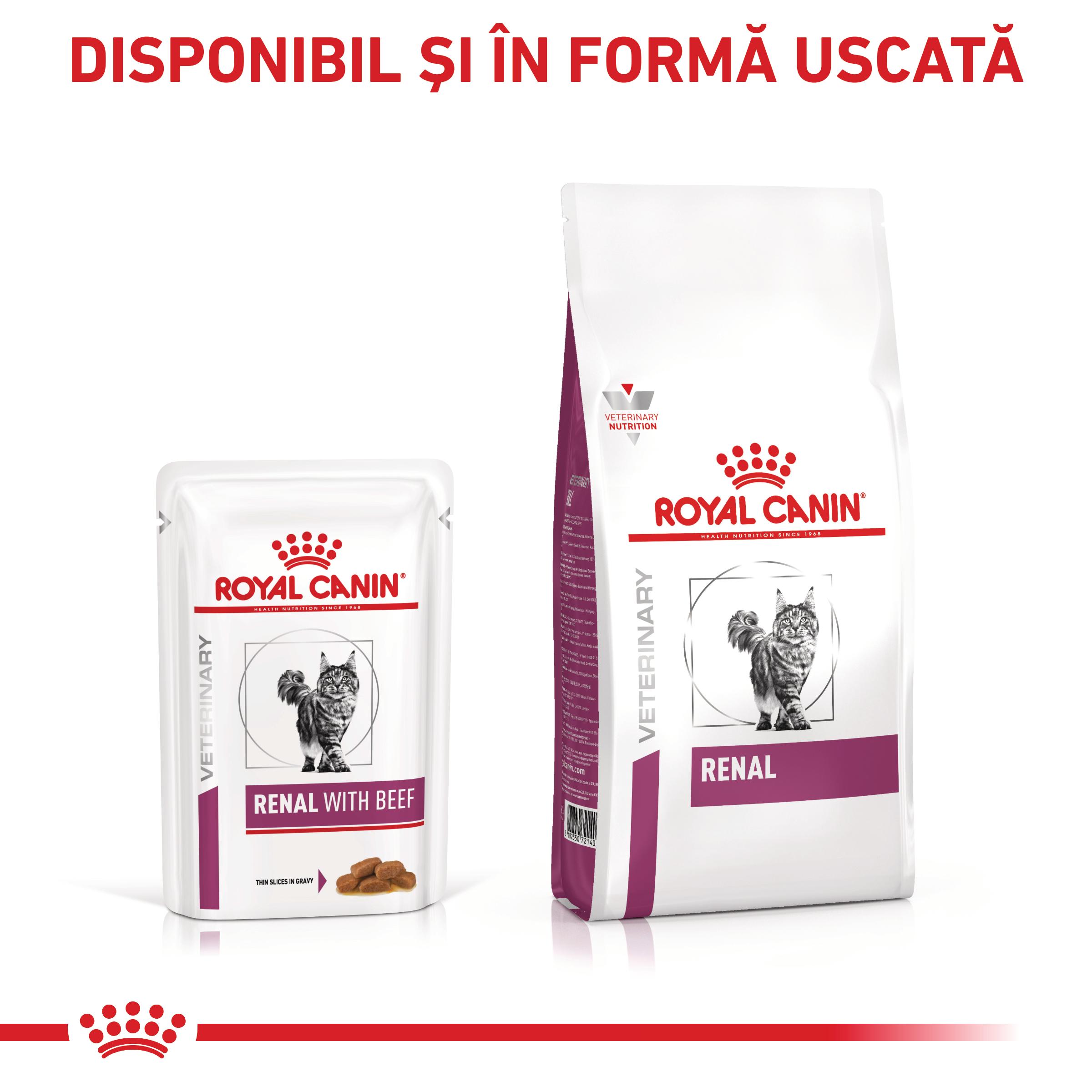 ROYAL CANIN VD Renal, Vită, dietă veterinară, plic hrană umedă pisici, sistem renal, (în sos), bax, 85g x 12buc