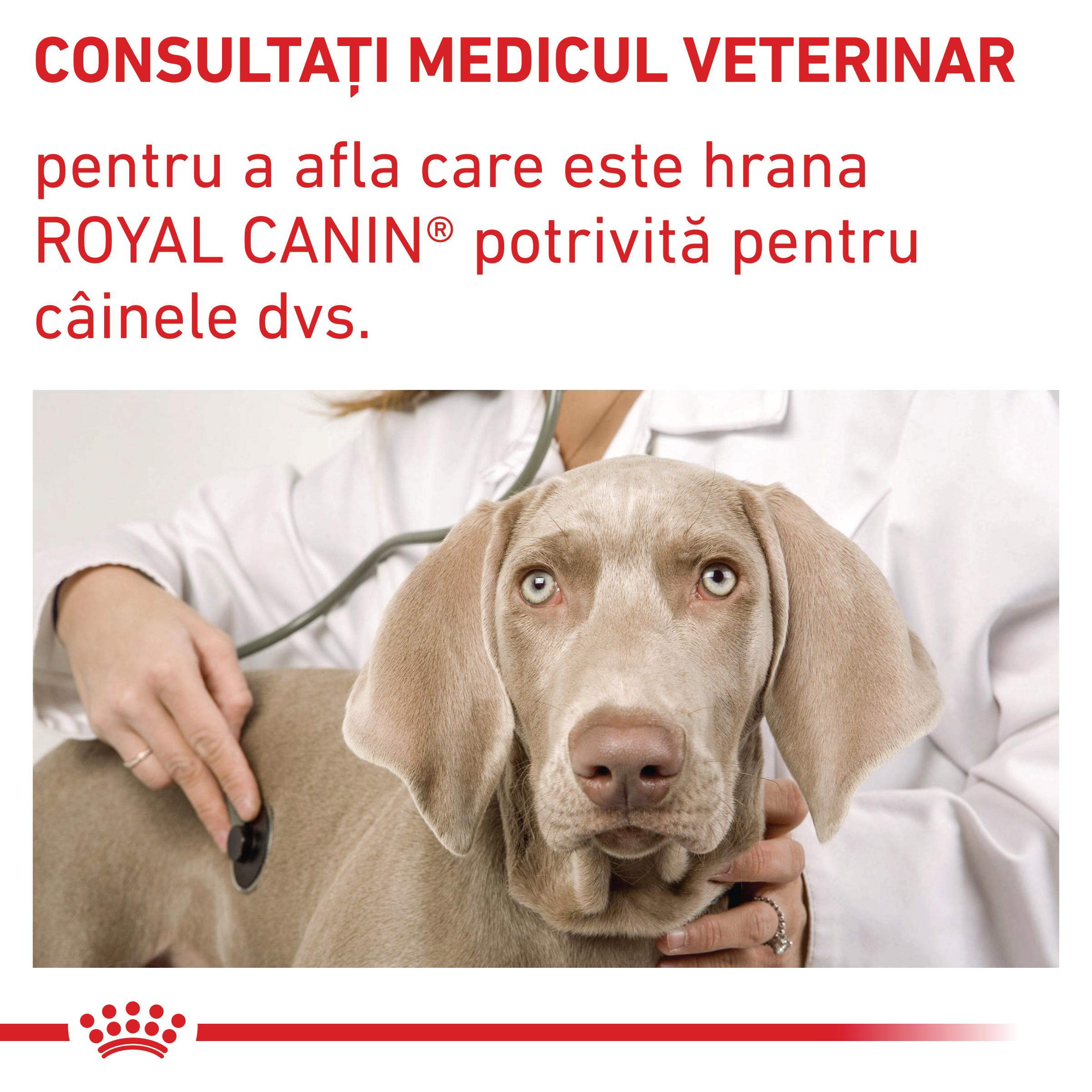 ROYAL CANIN VD Adult Small Dog, XS-S, dietă veterinară, hrană uscată câini, 2kg