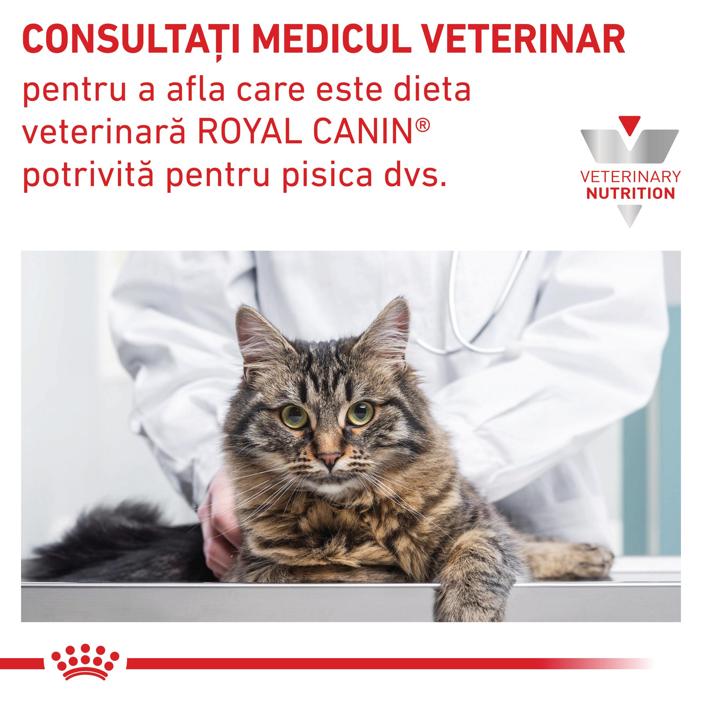 ROYAL CANIN VD Sensitivity Control, dietă veterinară, plic hrană umedă pisici, afecțiuni dermatologice, (în sos), bax, 85g x 12buc