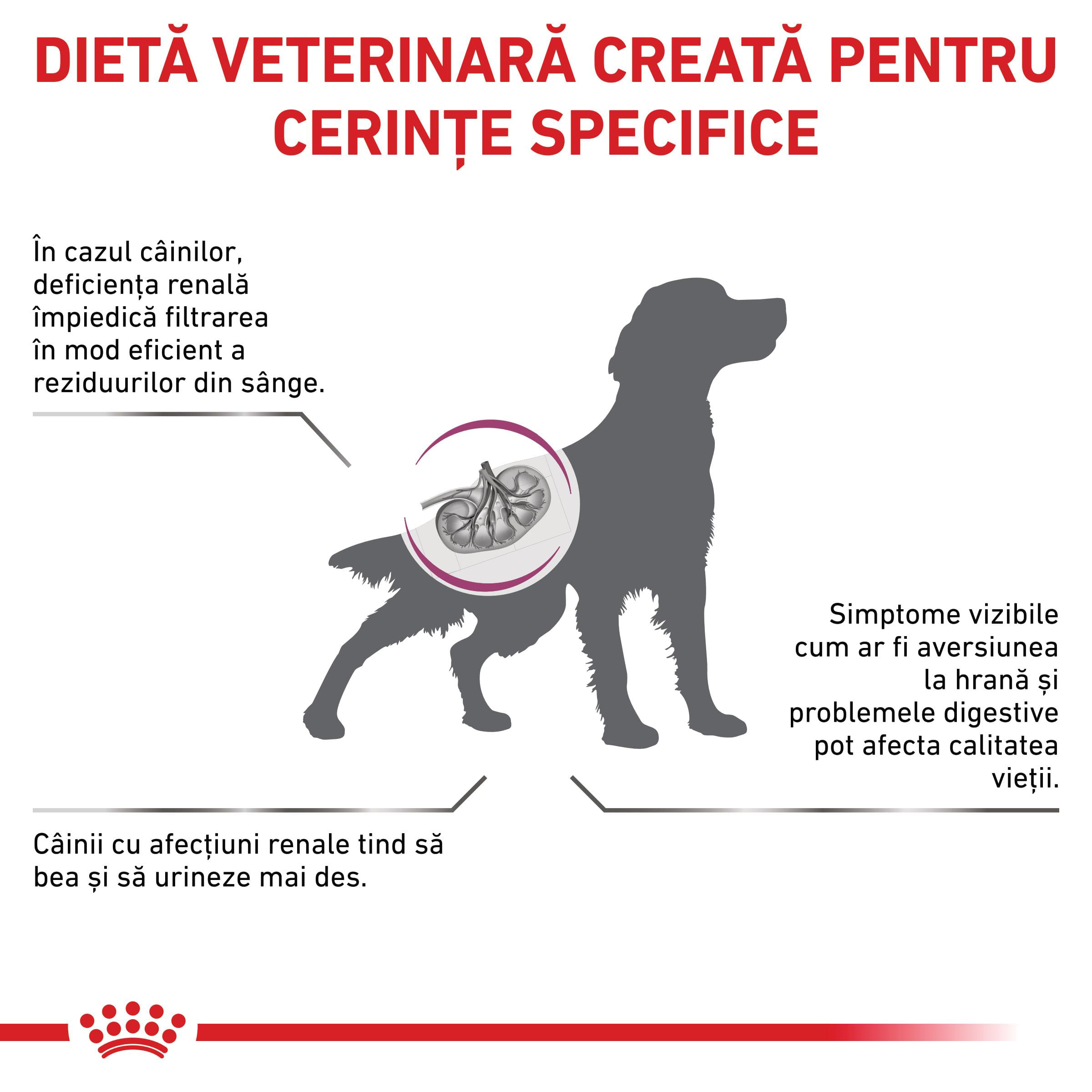 ROYAL CANIN VD Renal, XS-XL, dietă veterinară, hrană uscată câini, sistem renal, 14kg - 2 | YEO