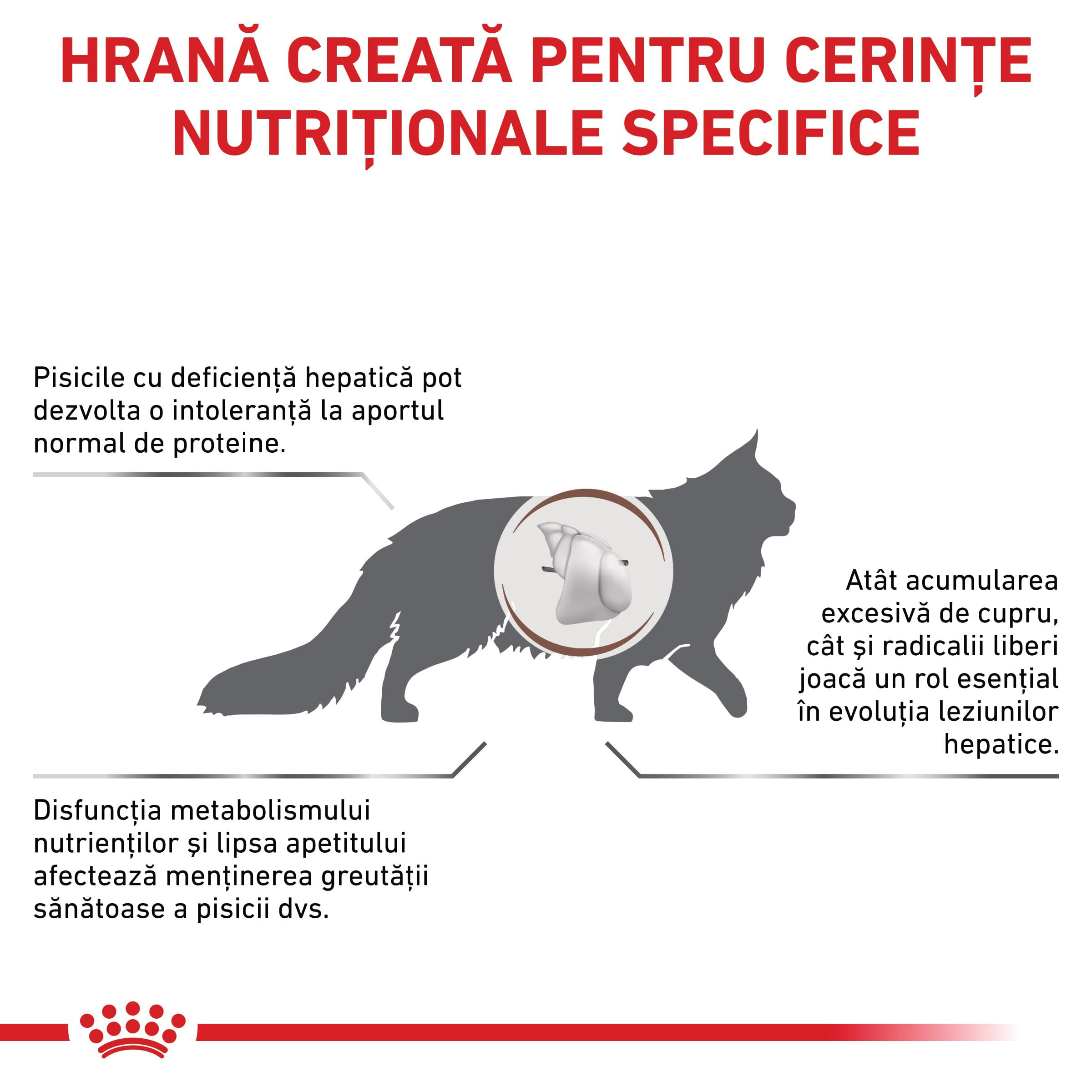 ROYAL CANIN VD Hepatic, dietă veterinară, hrană uscată pisici, suport hepatic, 4kg
