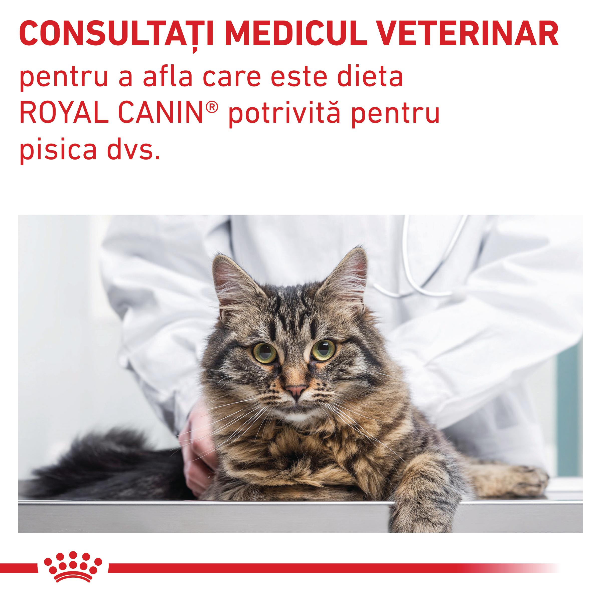 ROYAL CANIN VD Gastrointestinal Fibre Response, dietă veterinară, hrană uscată pisici, sistem digestiv, 4kg