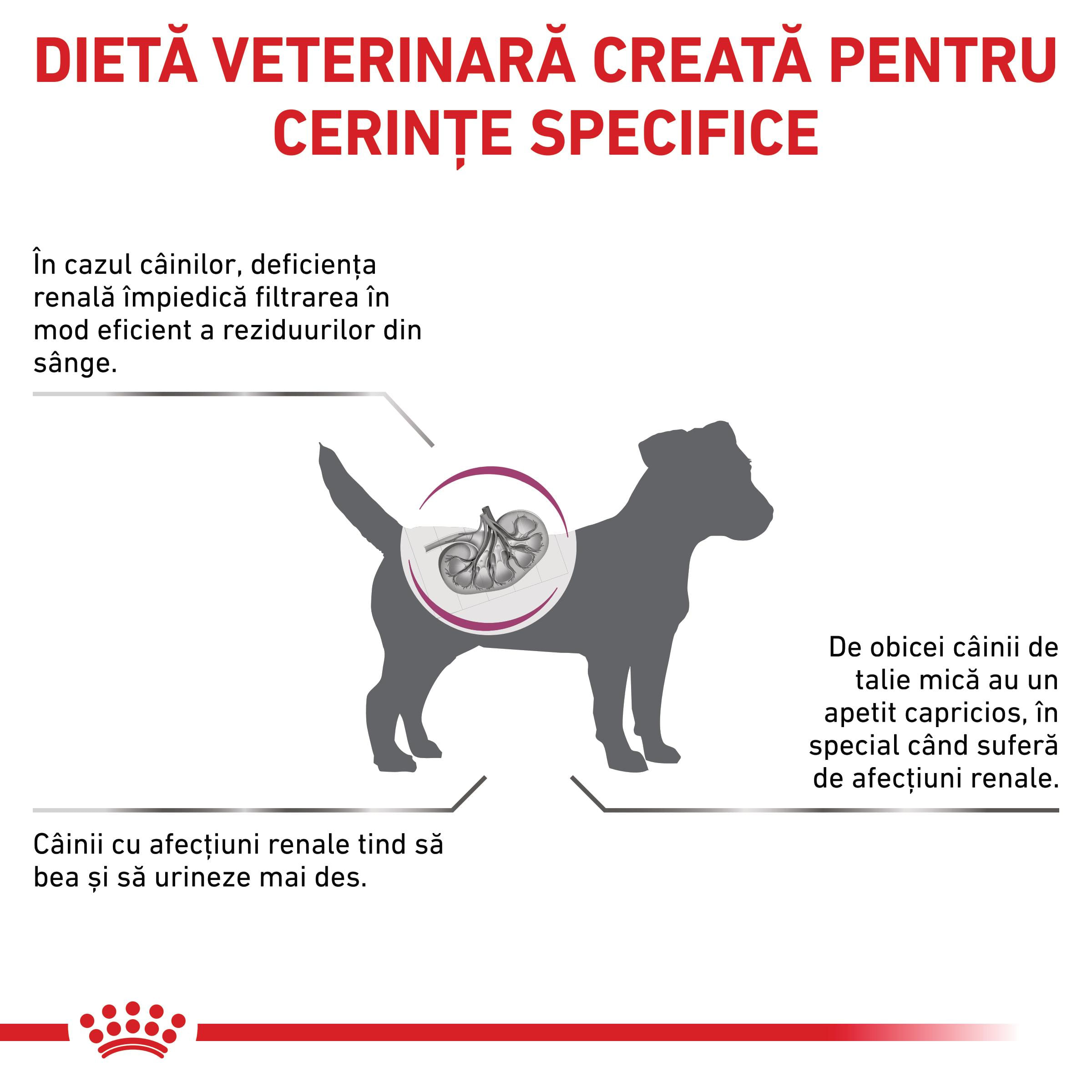 ROYAL CANIN VD Renal Small Dog, XS-S, dietă veterinară, hrană uscată câini, sistem renal, 3.5kg