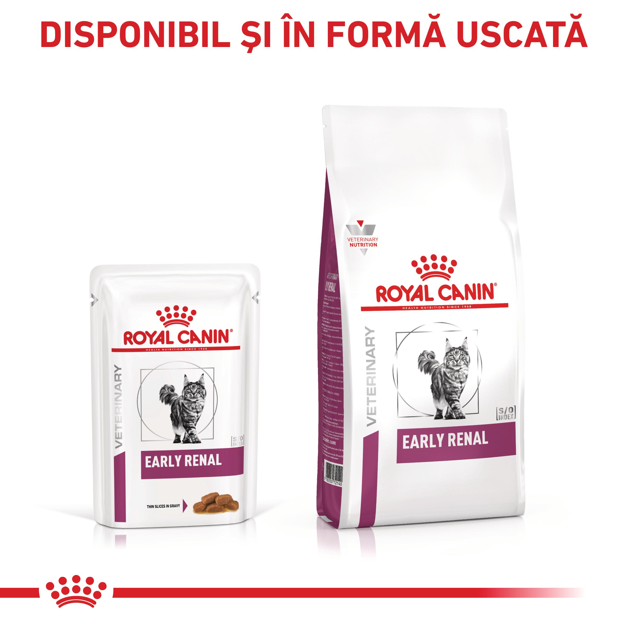ROYAL CANIN VD Early Renal, dietă veterinară, plic hrană umedă pisici, sistem renal, (în sos), bax, 85g x 12buc