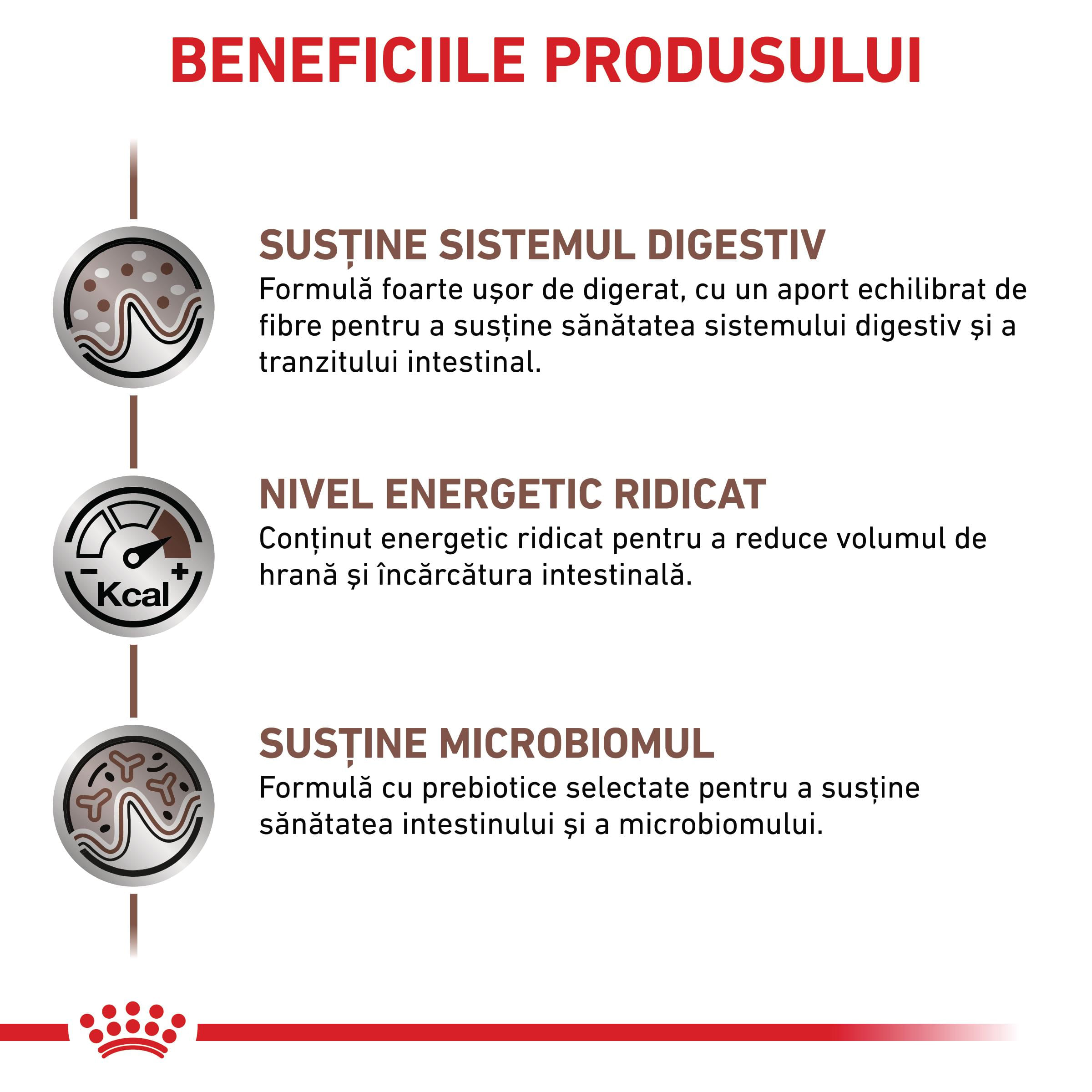 ROYAL CANIN VD Gastrointestinal , XS-XL, dietă veterinară, conservă hrană umedă câini, sistem digestiv, (pate), 400g - 2 | YEO