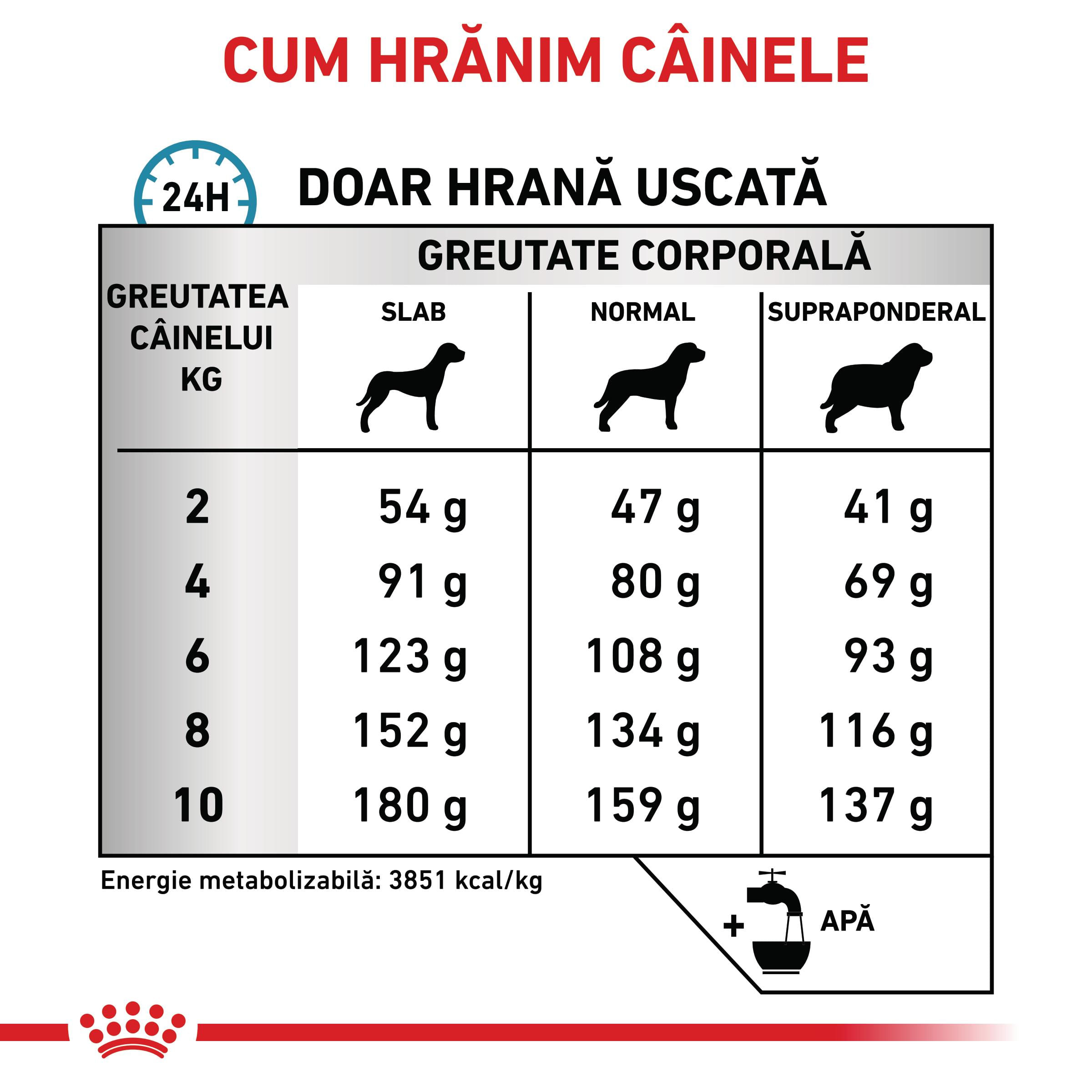 ROYAL CANIN VD Anallergenic Small Dog, XS-S, dietă veterinară, hrană uscată câini, alergii alimentare, 3kg