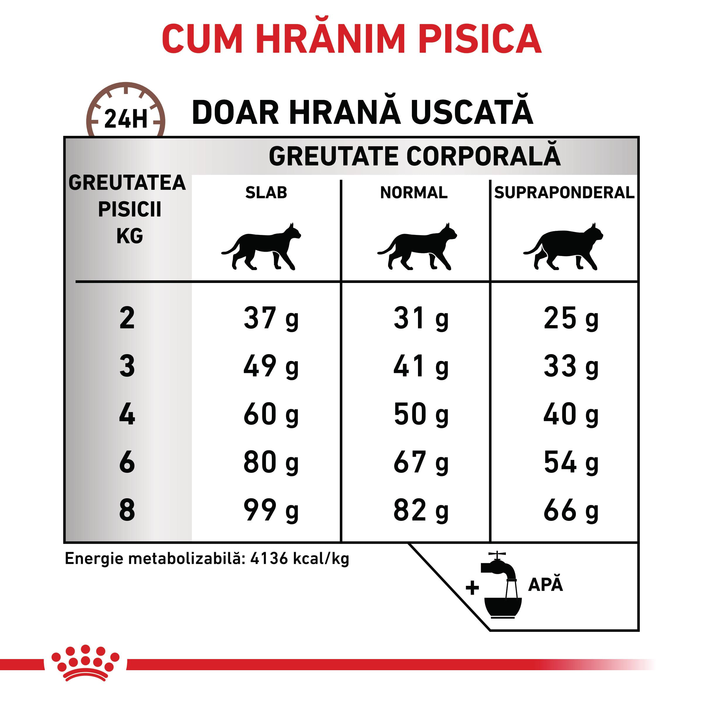 ROYAL CANIN VD Hepatic, dietă veterinară, hrană uscată pisici, suport hepatic, 4kg